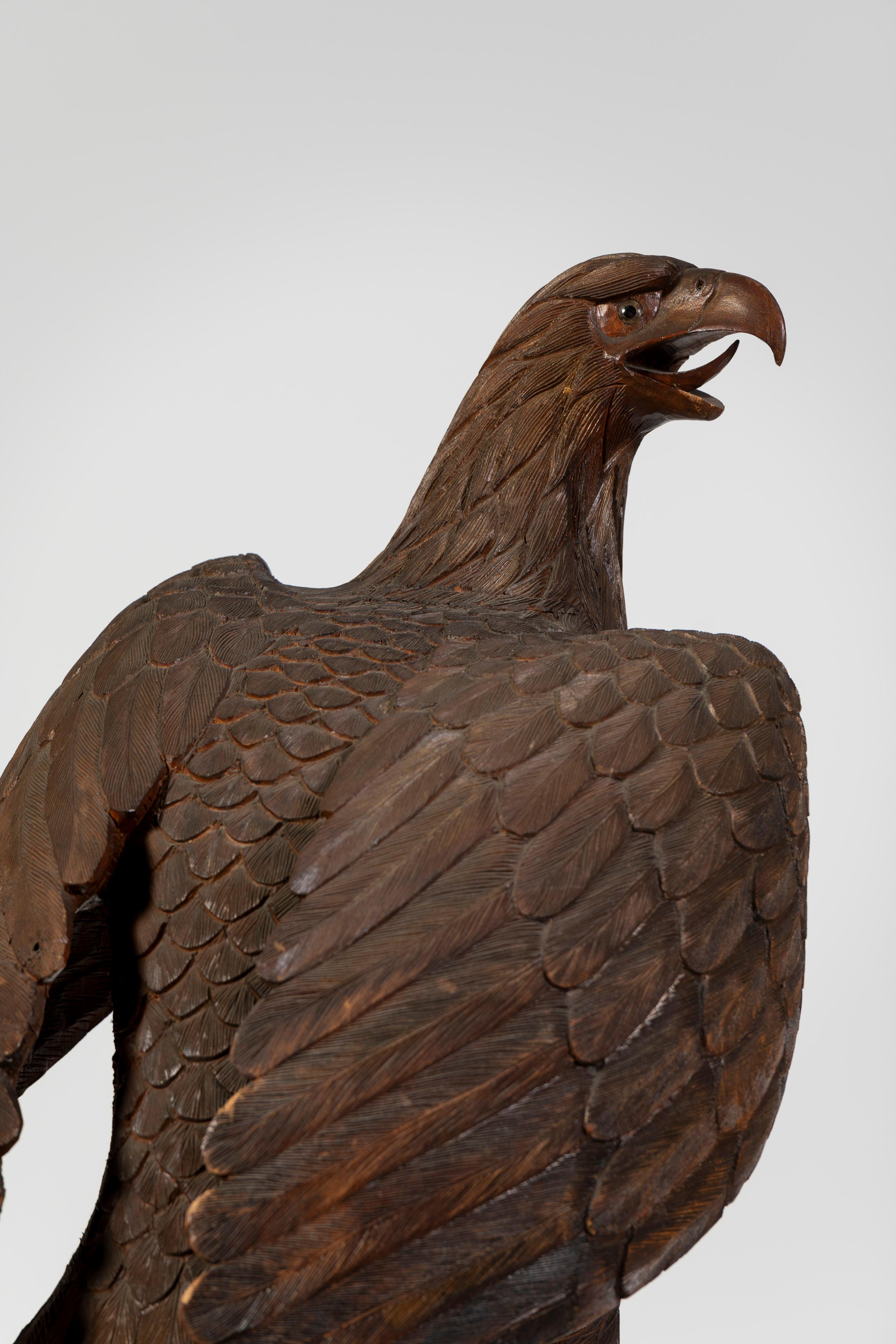 Hardwood Model of Eagle on a Pedestal, 20th Century, UK 7