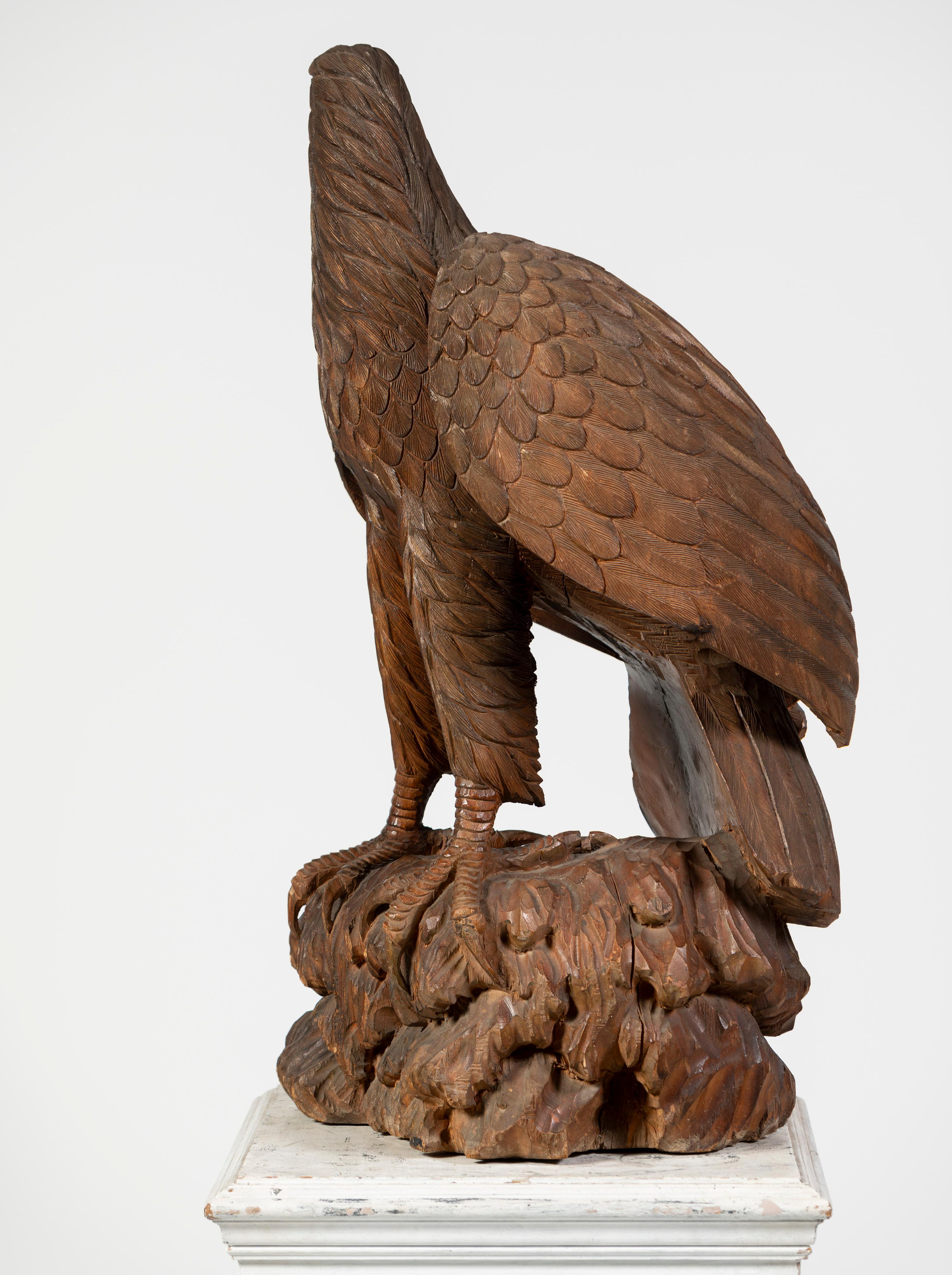 Hardwood Model of Eagle on a Pedestal, 20th Century, UK 13