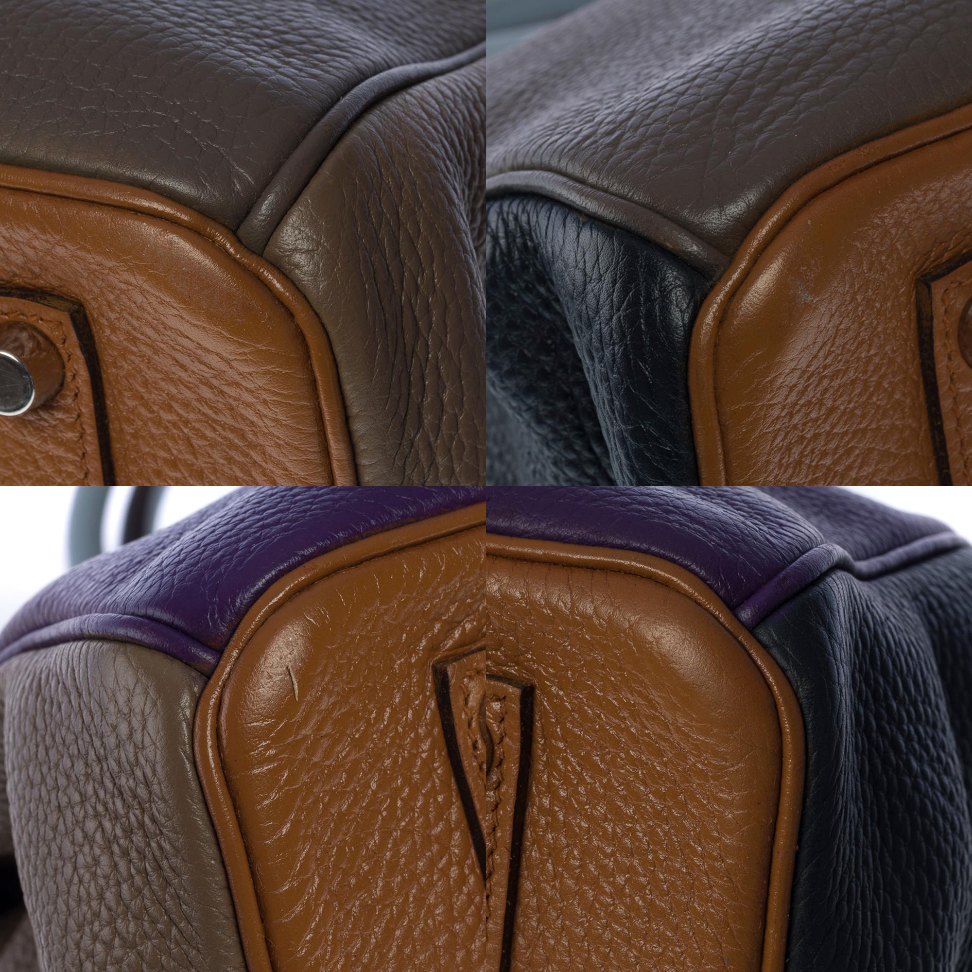 Harlequin Hermès Birkin 35 handbag in multicolor Clemence Taurillon leather, SHW  5