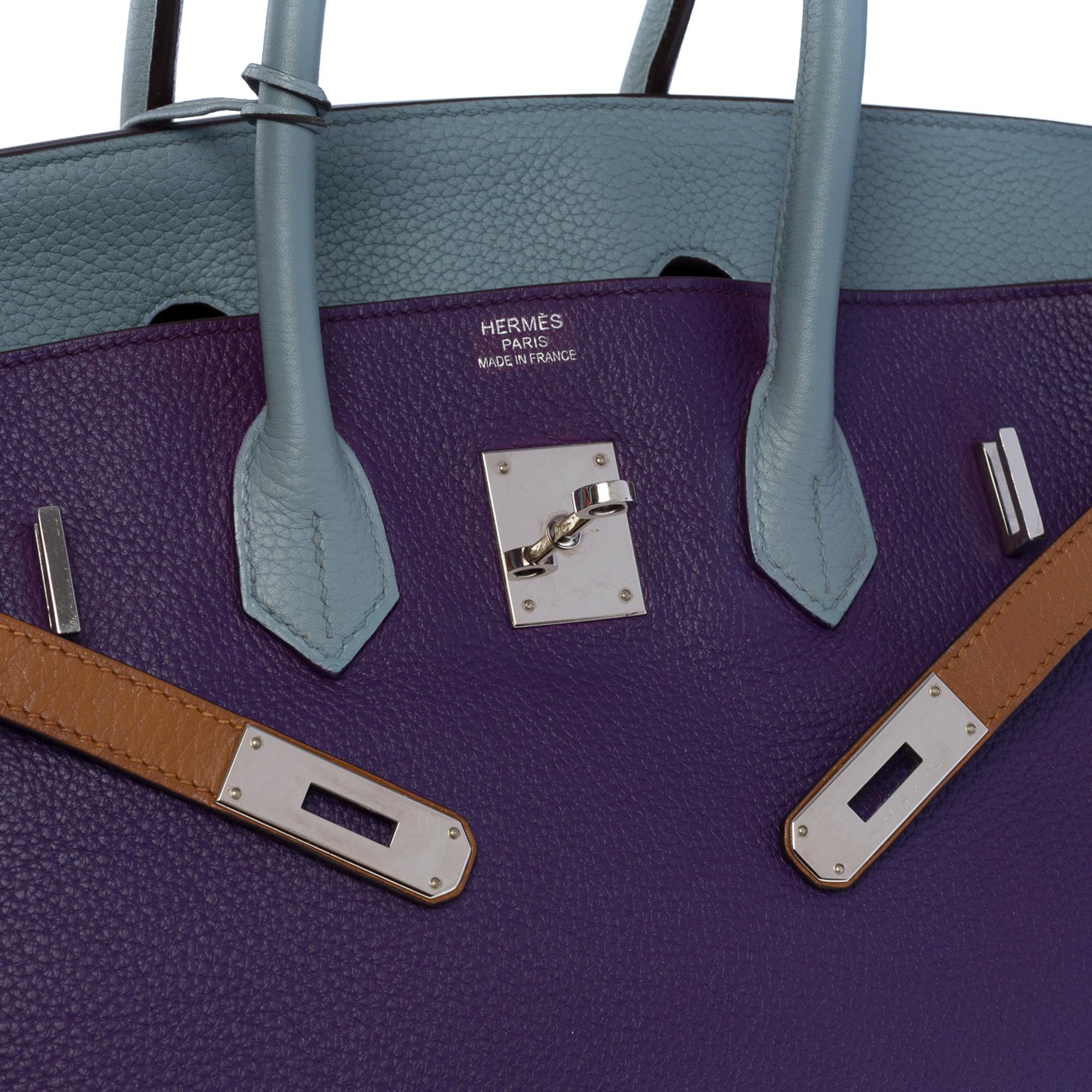 Women's or Men's Harlequin Hermès Birkin 35 handbag in multicolor Clemence Taurillon leather, SHW 