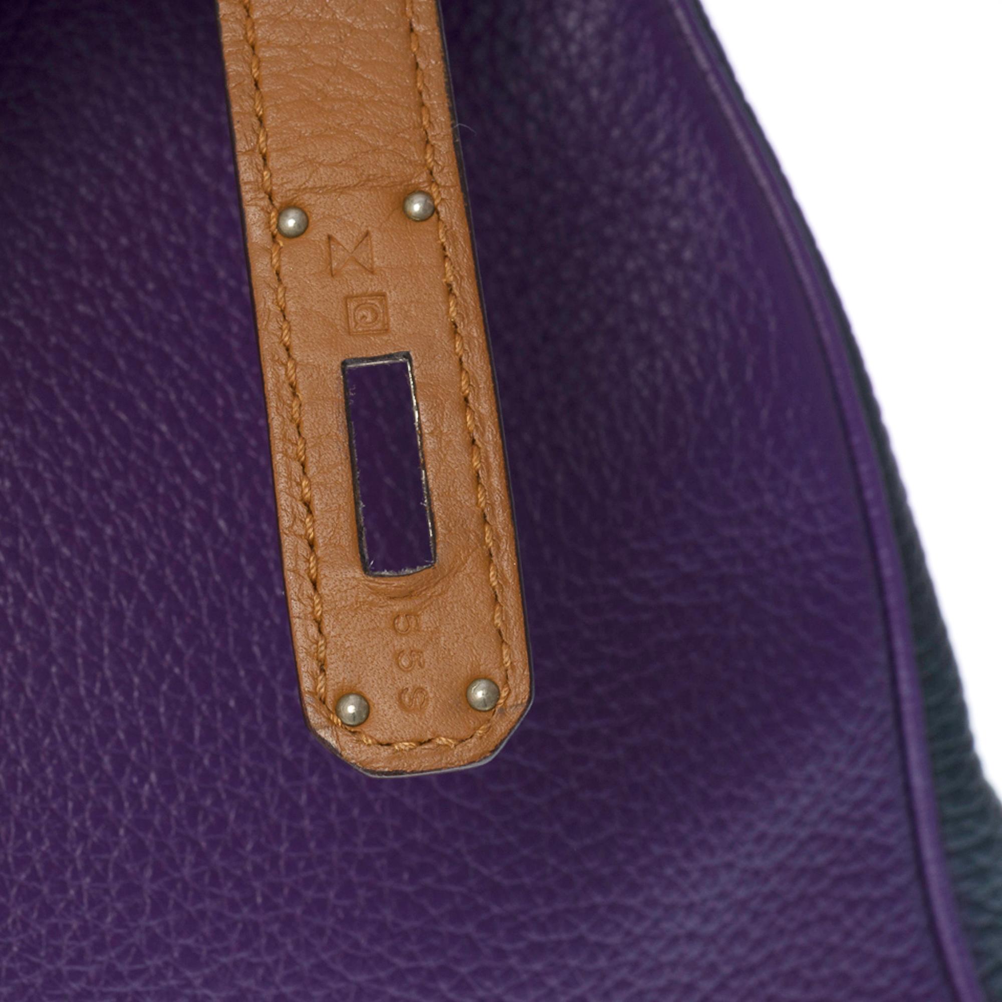 Harlequin Hermès Birkin 35 handbag in multicolor Clemence Taurillon leather, SHW  1