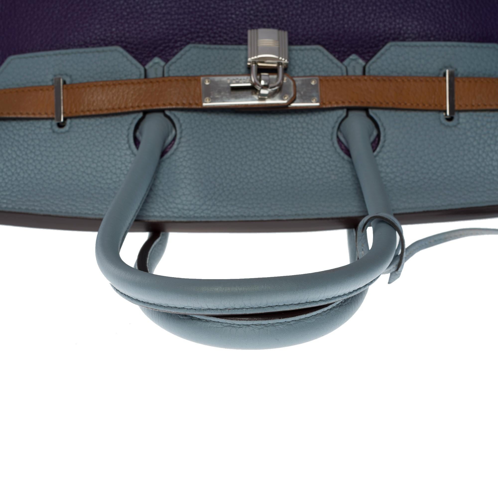 Harlequin Hermès Birkin 35 handbag in multicolor Clemence Taurillon leather, SHW  3