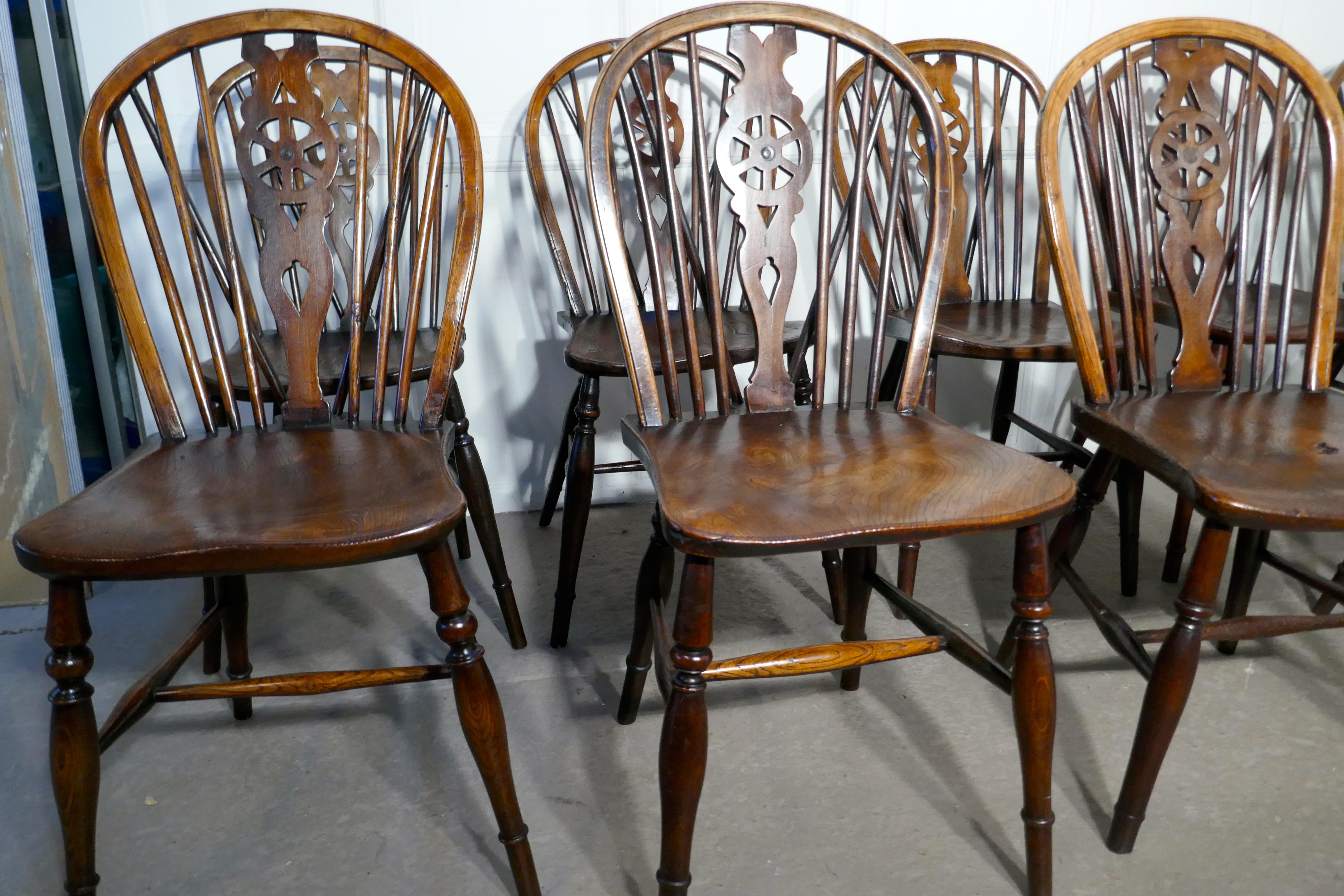 Harlequin set of 10 Victorian beech and elm wheel back Windsor kitchen dining chairs.

The chairs are a classic design and traditionally made from solid wood they have hooped wedge backs in the traditional Windsor style with slight differences in