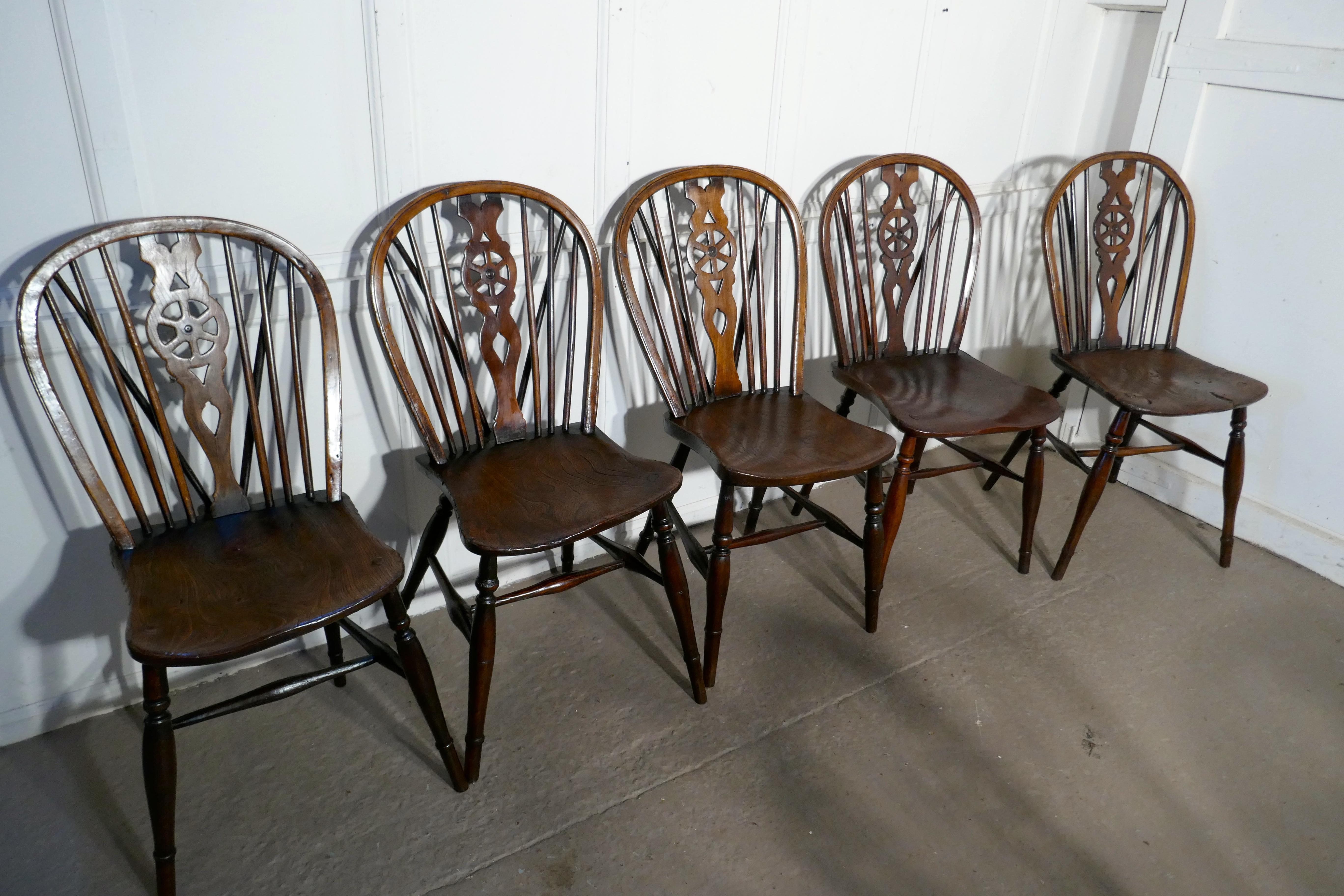 Harlequin Set of 10 Victorian Beech and Elm Wheel Back Windsor Dining Chairs 1