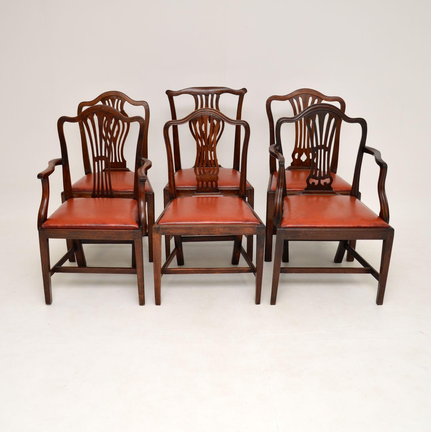 Harlequin Set of 6 Antique Georgian Mahogany Dining Chairs In Good Condition In London, GB