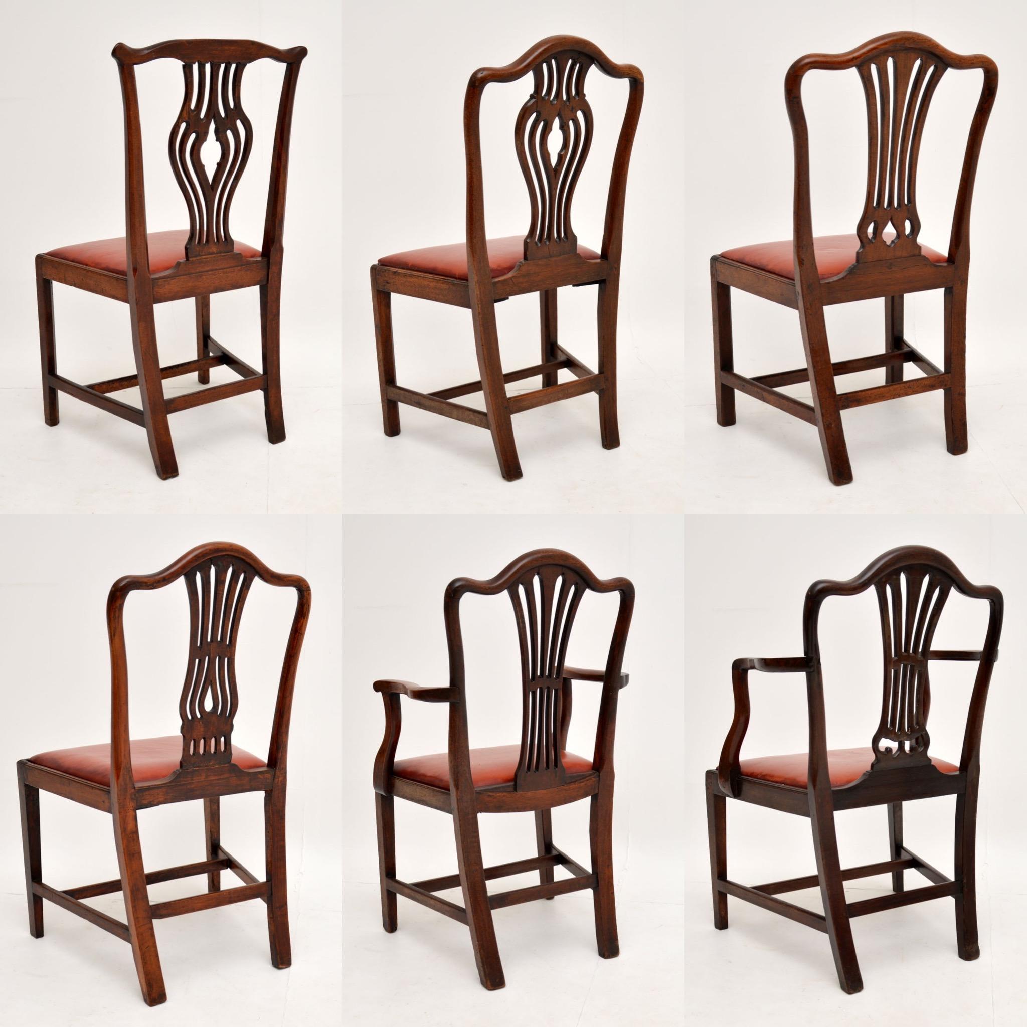 Harlequin Set of 6 Antique Georgian Mahogany Dining Chairs 1