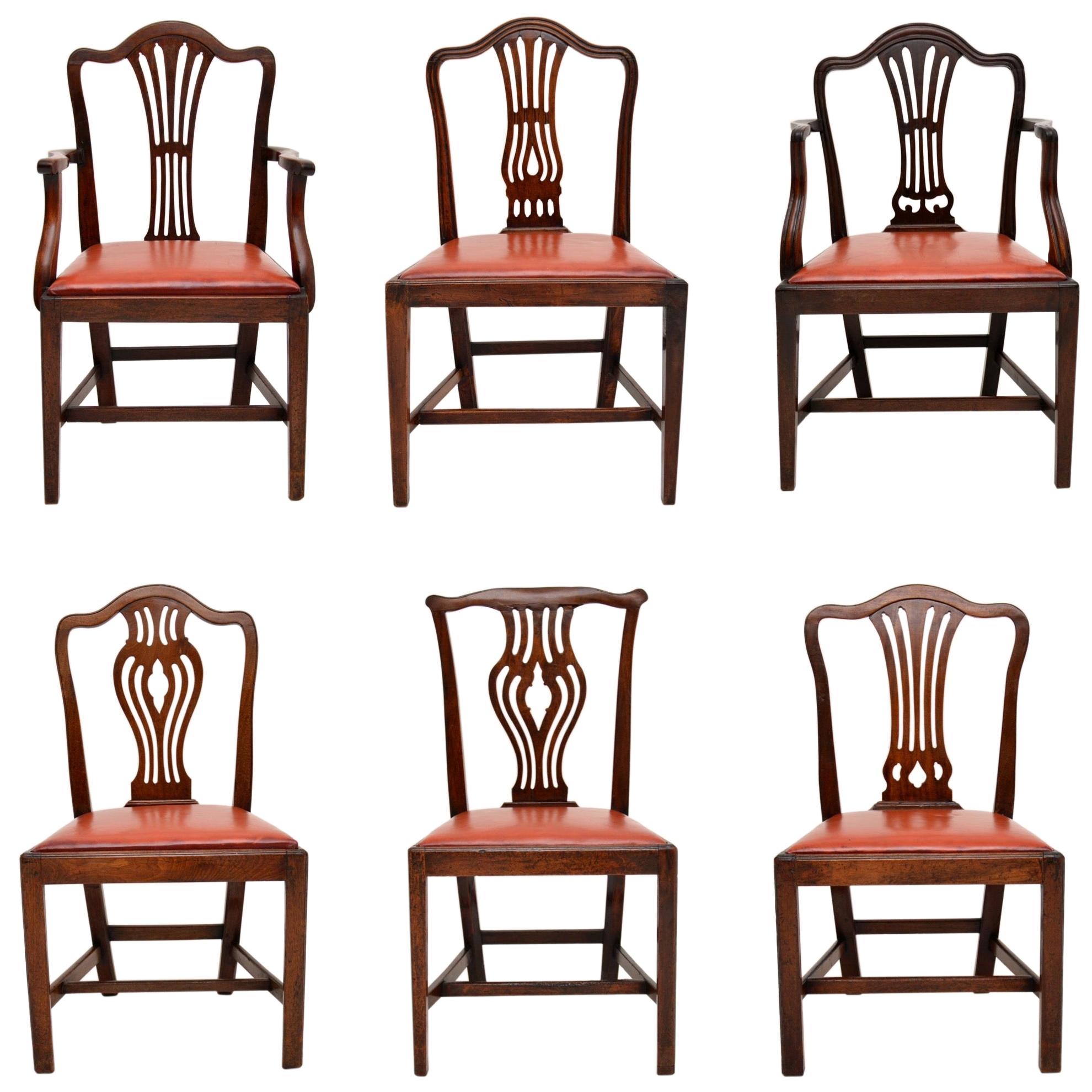 Harlequin Set of 6 Antique Georgian Mahogany Dining Chairs