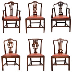 Harlequin Set of 6 Antique Georgian Mahogany Dining Chairs