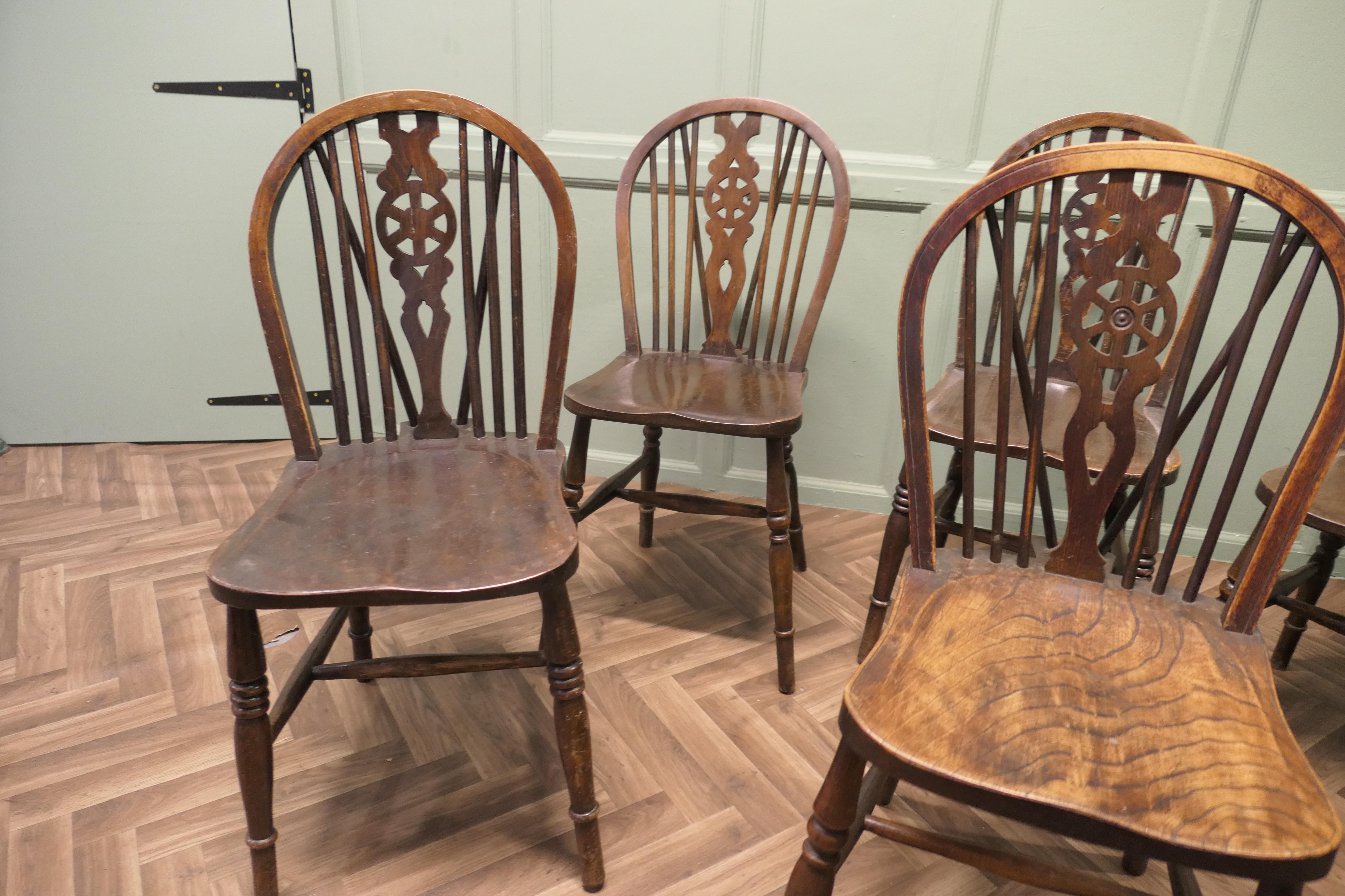 Harlequin Satz von 6 Buche & Elm Rad zurück Windsor Küche Esszimmerstühle (Buchenholz) im Angebot