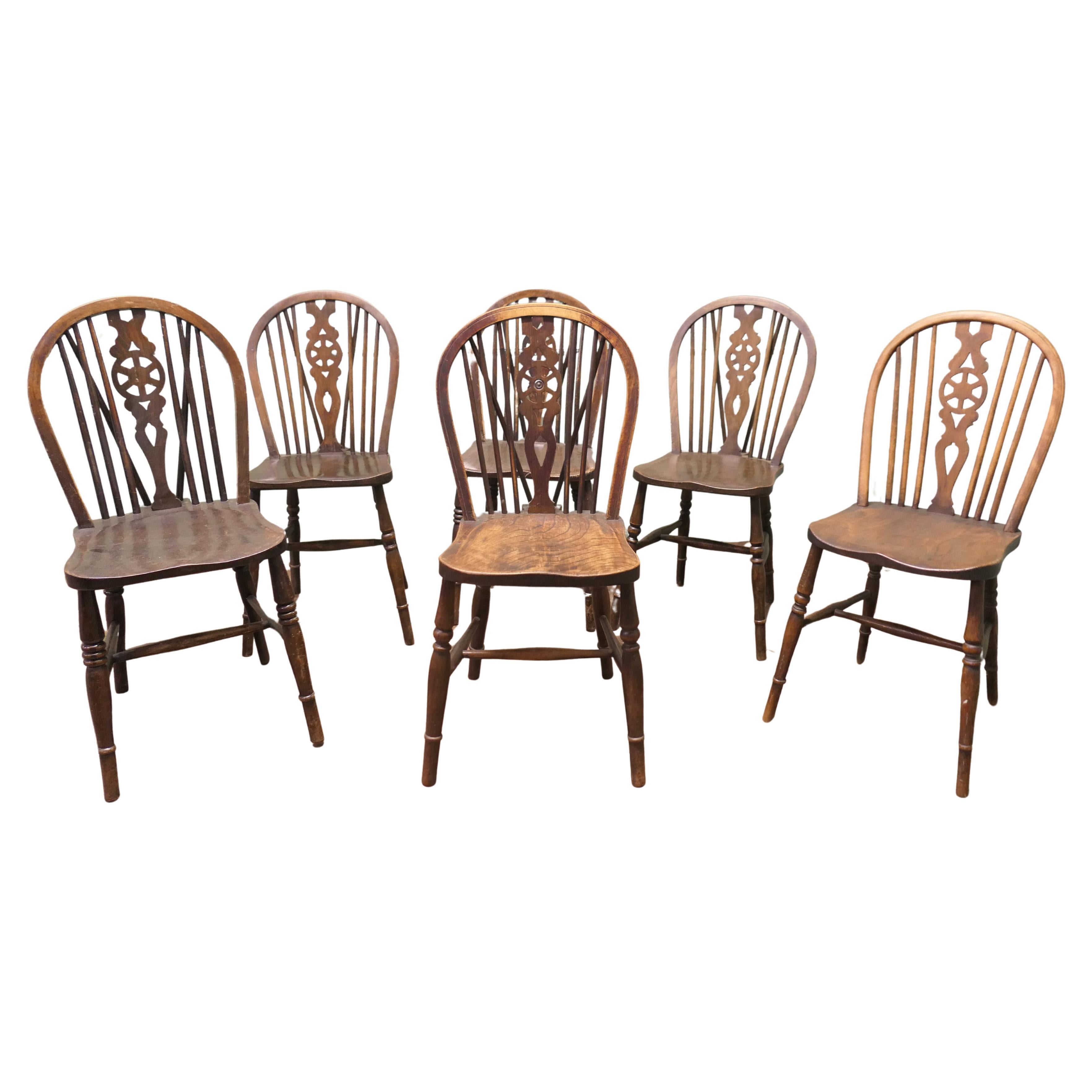 Harlequin Set of 6 Beech & Elm Wheel Back Windsor Kitchen Dining Chairs