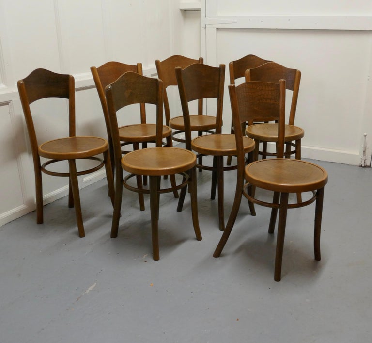 Harlequin set of 8 French bistro or cafe bentwood chairs

 A very attractive if mixed set of French cafe chairs, traditionally this type of chair was used in Bistros and Brassieres but they would make just as good kitchen chairs 
The chairs have