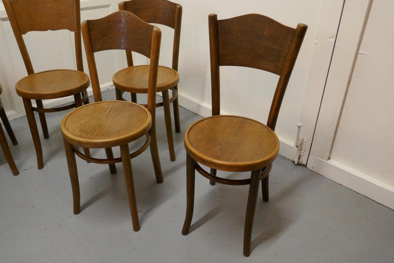 20th Century Harlequin Set of 8 French Bistro or Cafe Bentwood Chairs For Sale