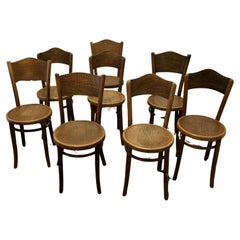 Harlequin Set of 8 French Bistro or Cafe Bentwood Chairs