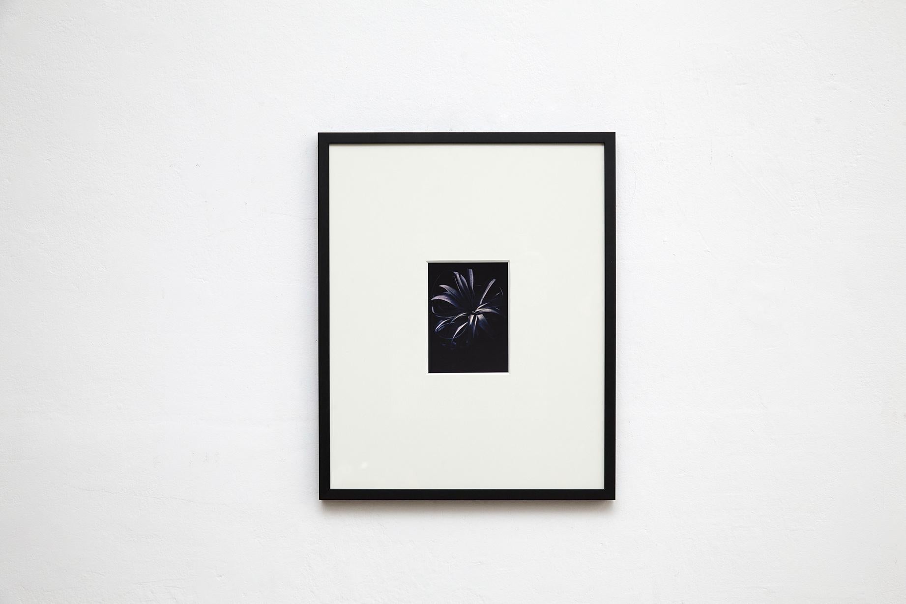 La Armonía Desvelada: Colección de cuatro fotografías cautivadoras de David Urbano en venta 7