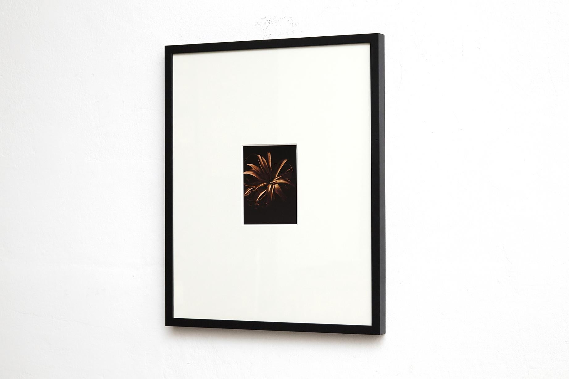 Contemporary Harmony Unveiled: David Urbano's Collection of Four Captivating Photographs For Sale