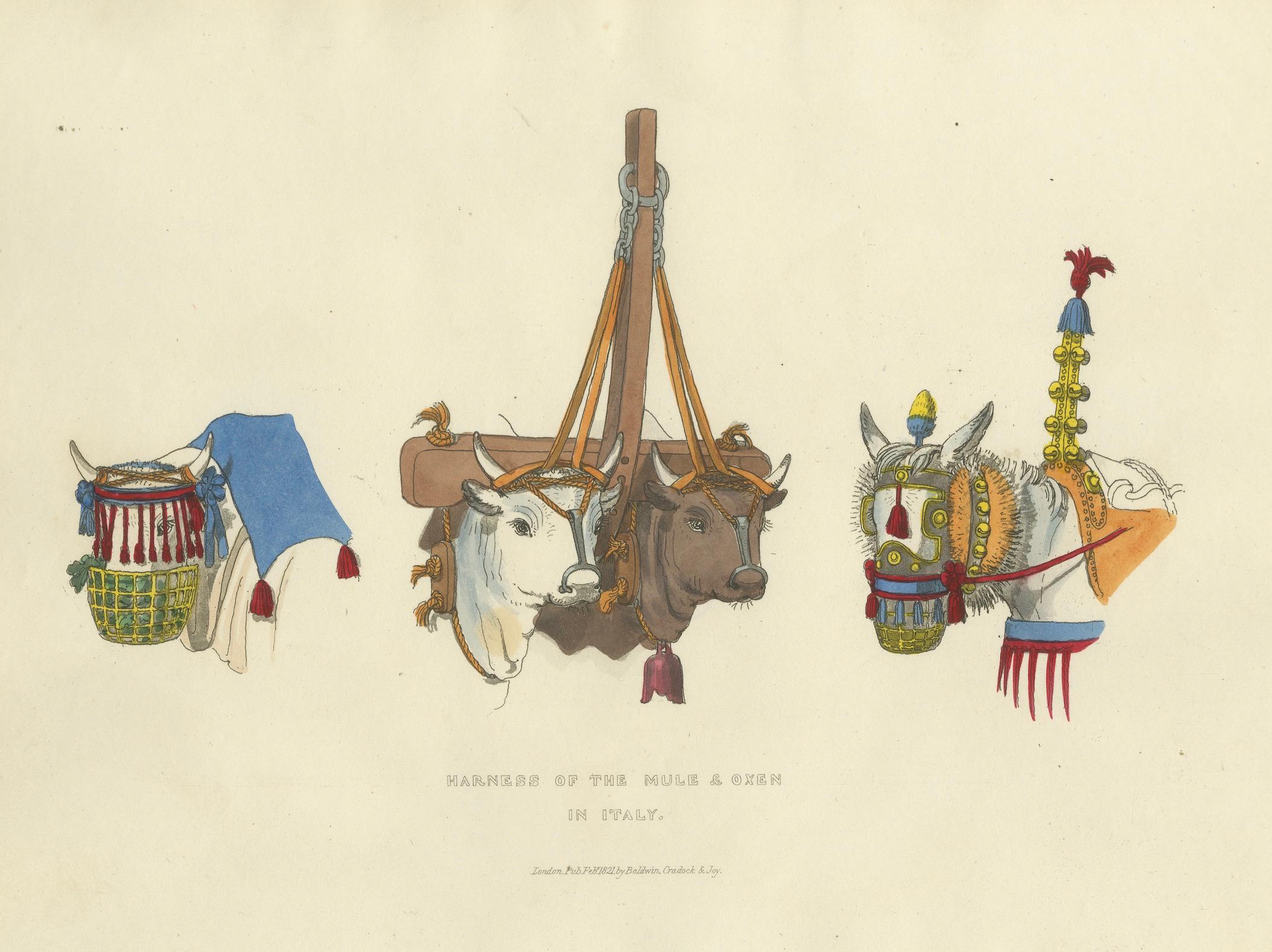 Gravure sur harnais : Harnais traditionnel pour mulets et bœufs en Italie, gravure à la main des années 1820

Cette fascinante gravure coloriée à la main, intitulée *Harnais du mulet et du bœuf en Italie*, présente une étude magnifiquement détaillée