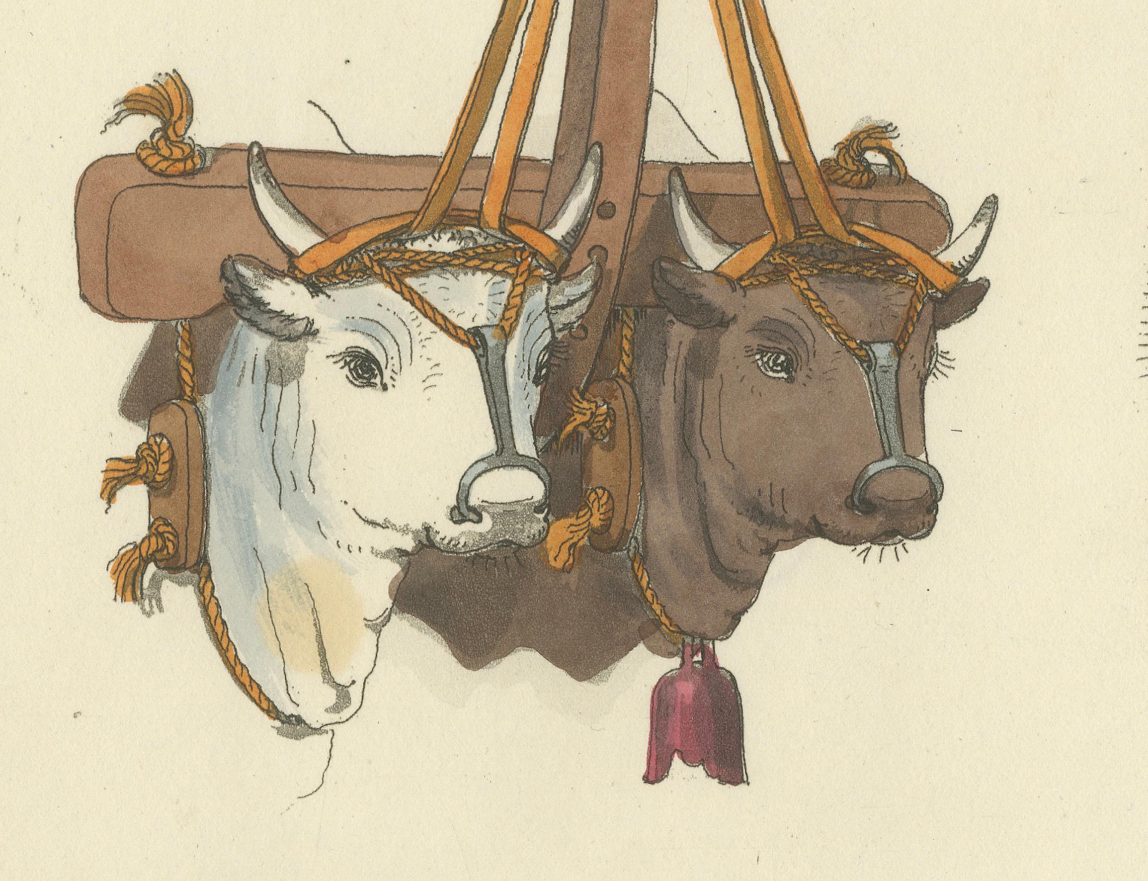 Début du XIXe siècle Gravure sur harnais : Harnais traditionnel pour mules et bœufs en Italie, gravure des années 1820 en vente