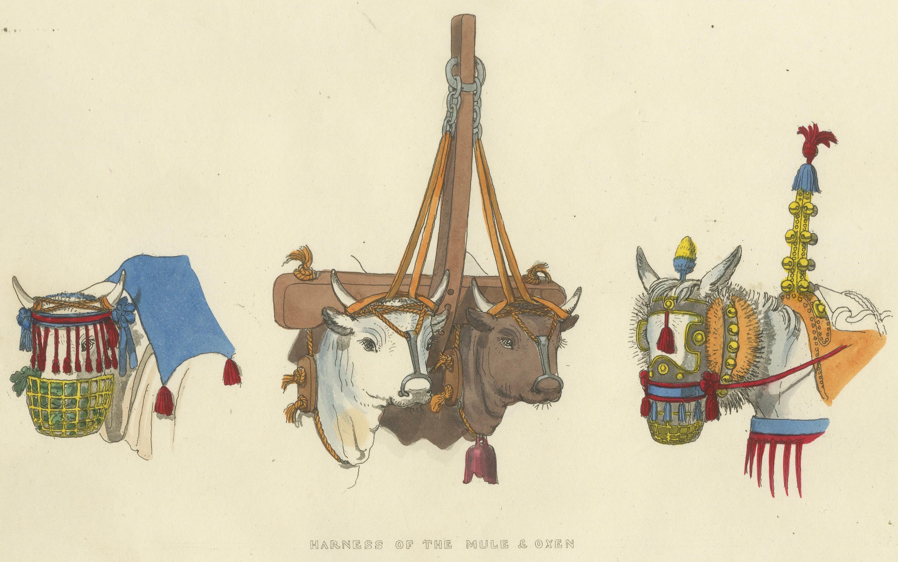 Gravure sur harnais : Harnais traditionnel pour mules et bœufs en Italie, gravure des années 1820 en vente 1