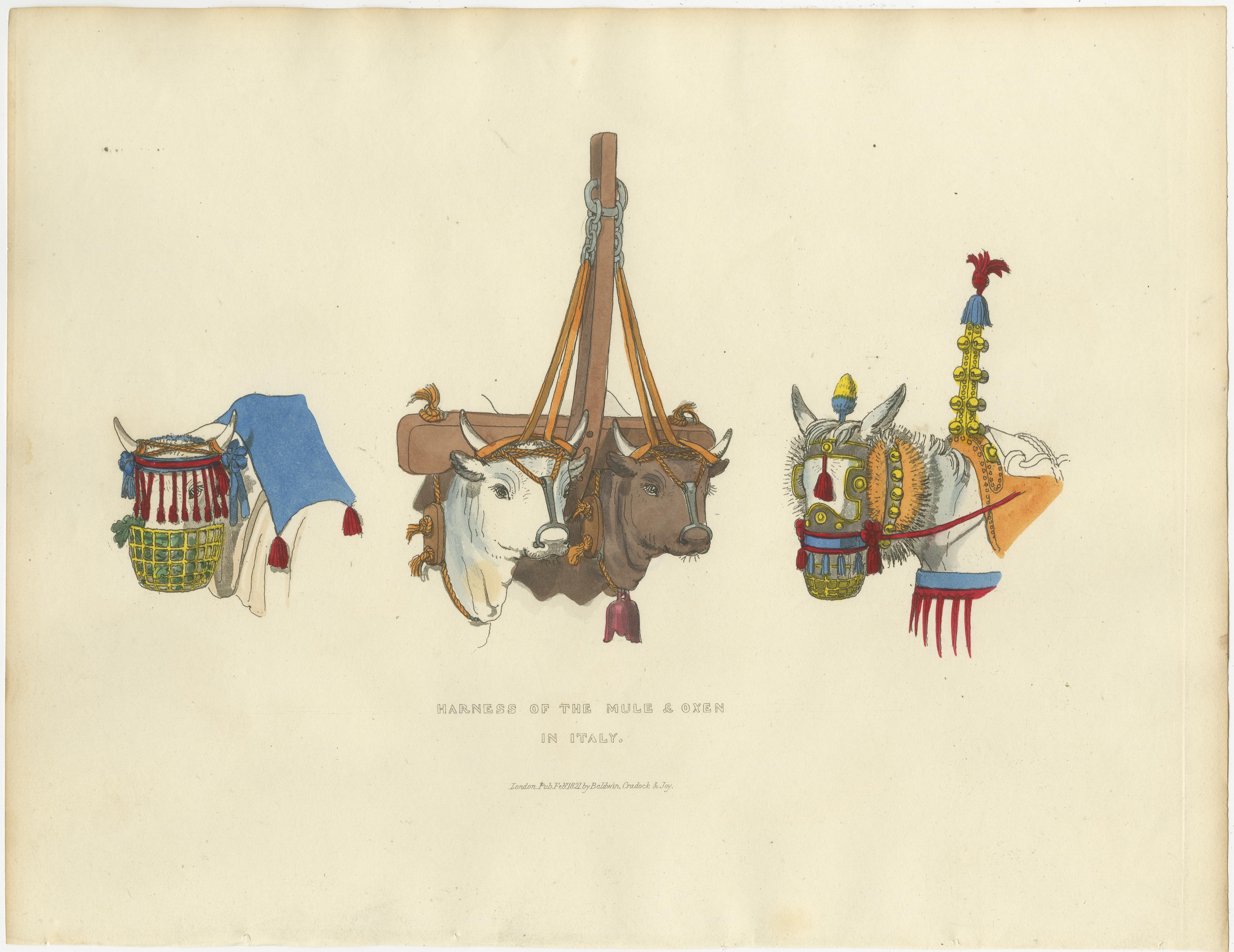Gravure sur harnais : Harnais traditionnel pour mules et bœufs en Italie, gravure des années 1820 en vente 2