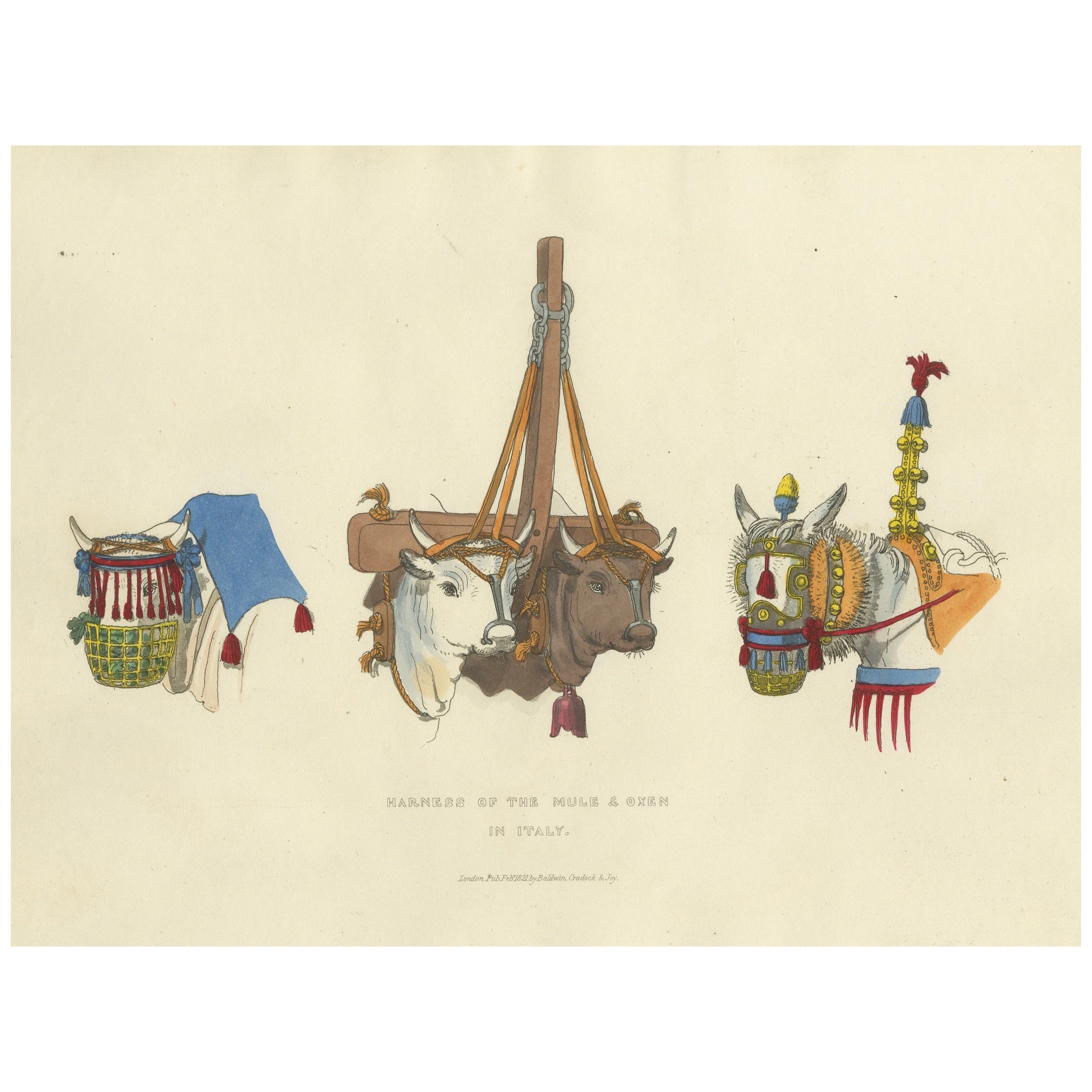 Harness Print: Traditional Mule and Oxen Tack in Italy, 1820s Engraving