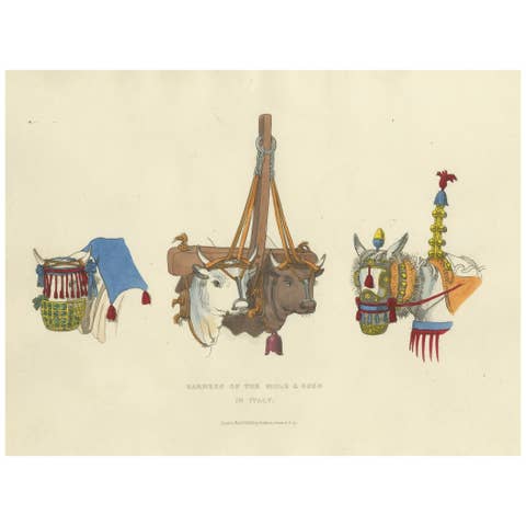 Harness Print: Traditional Mule and Oxen Tack in Italy, 1820s Engraving