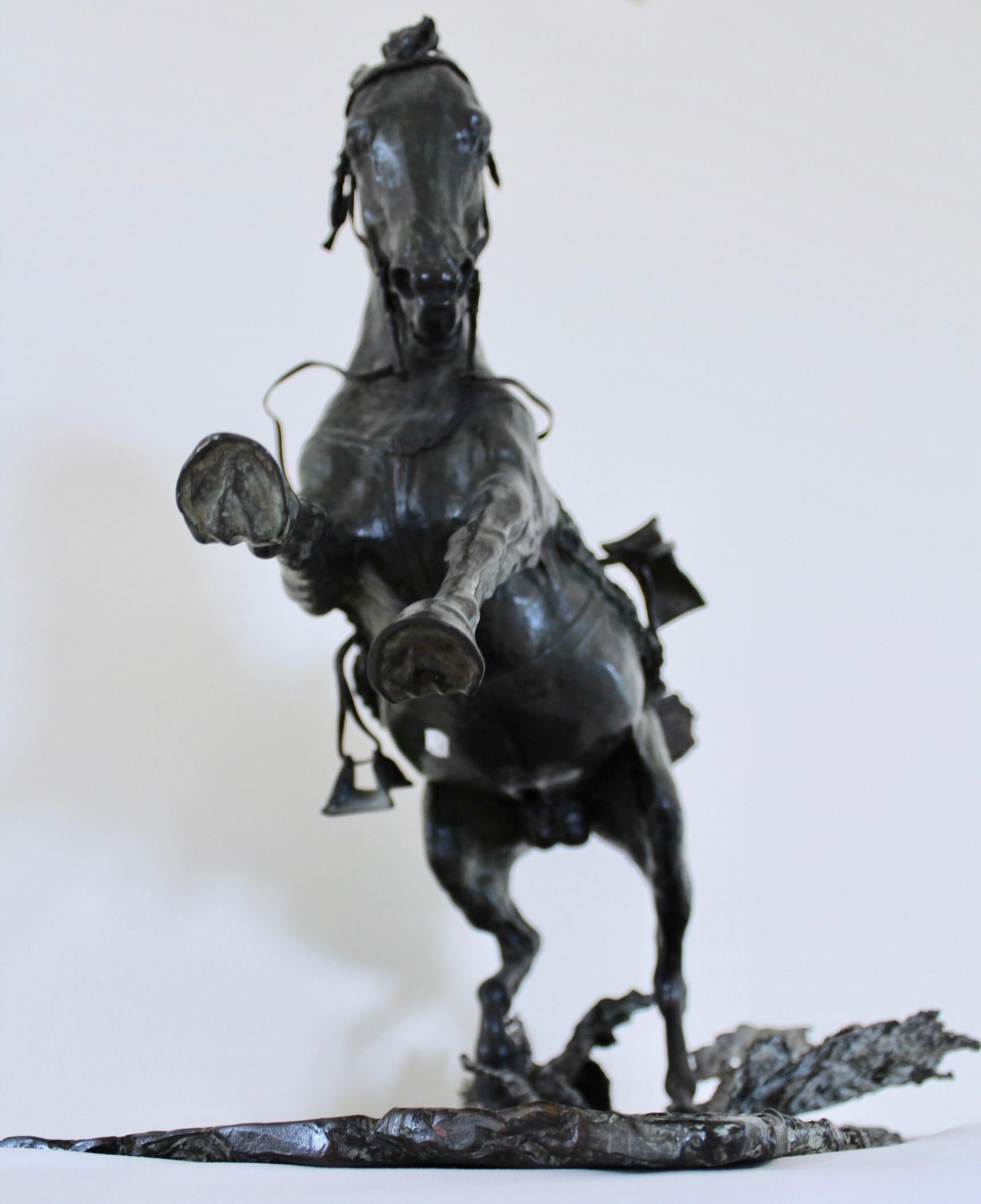 20th Century Harnessed Arabic Horse by F. Jager For Sale