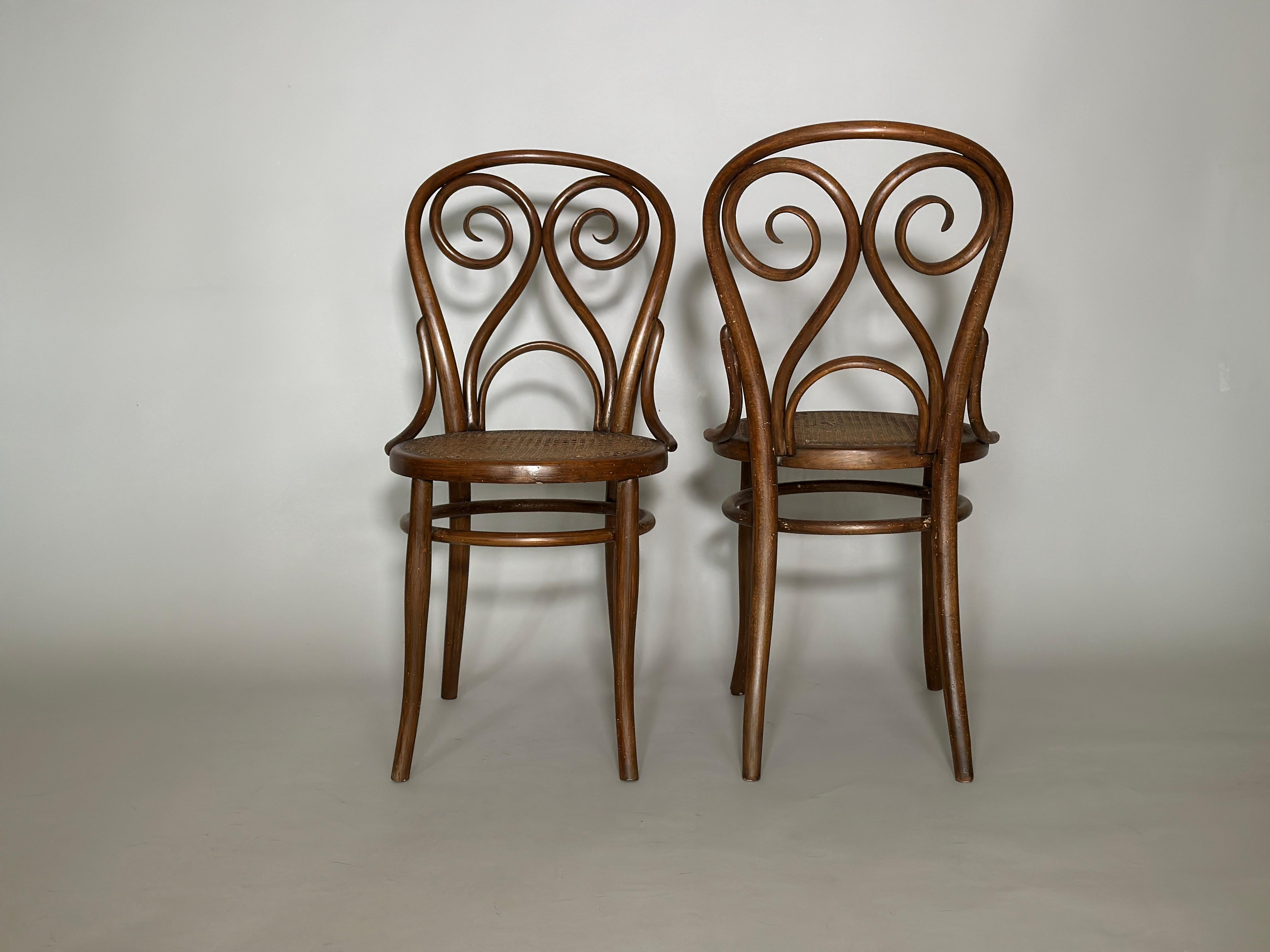 Wiena 1880s chair by Harnisch Co 