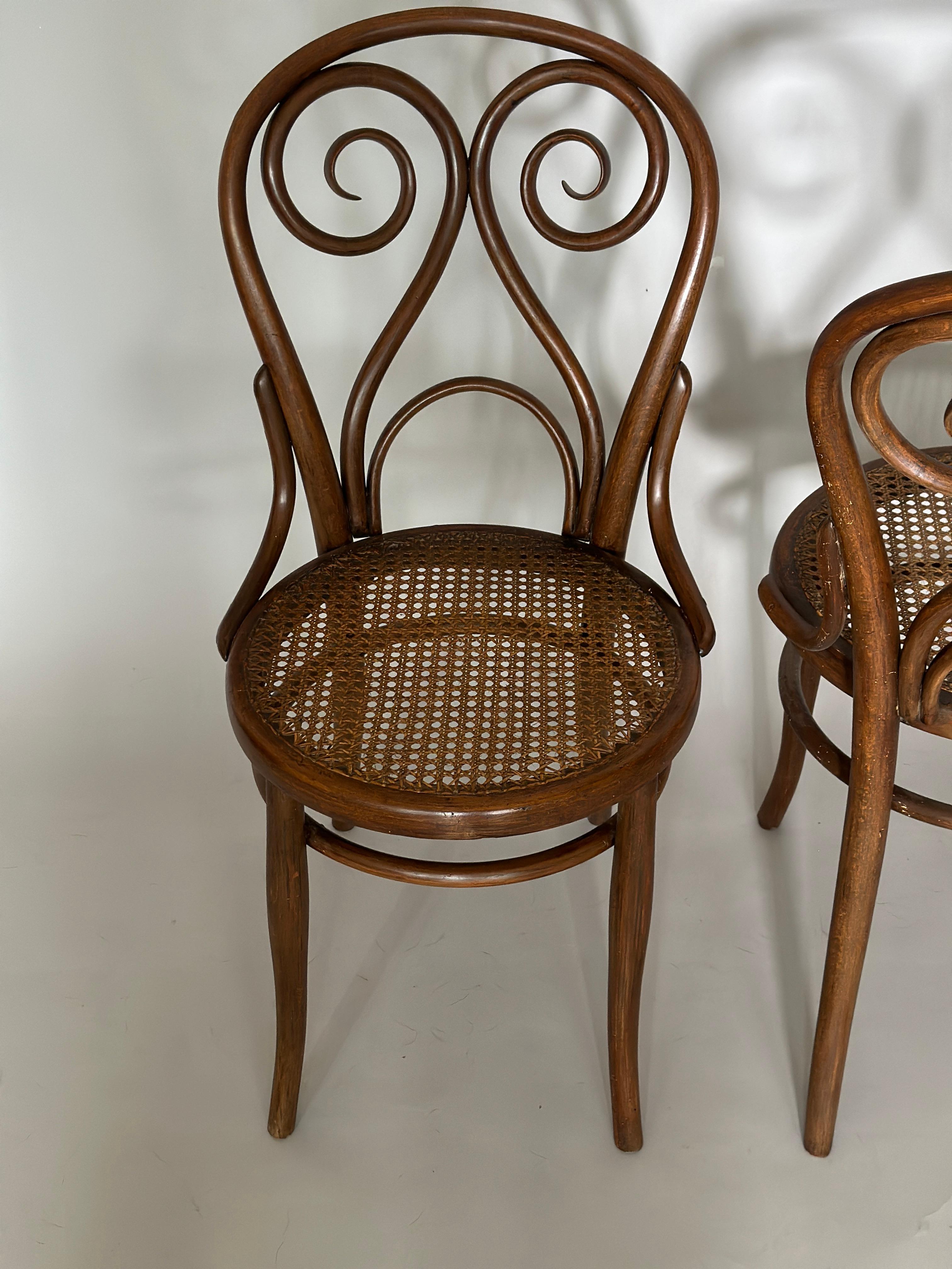 Art Nouveau Harnisch and Co chair Wiena 1880s  Set of Two For Sale