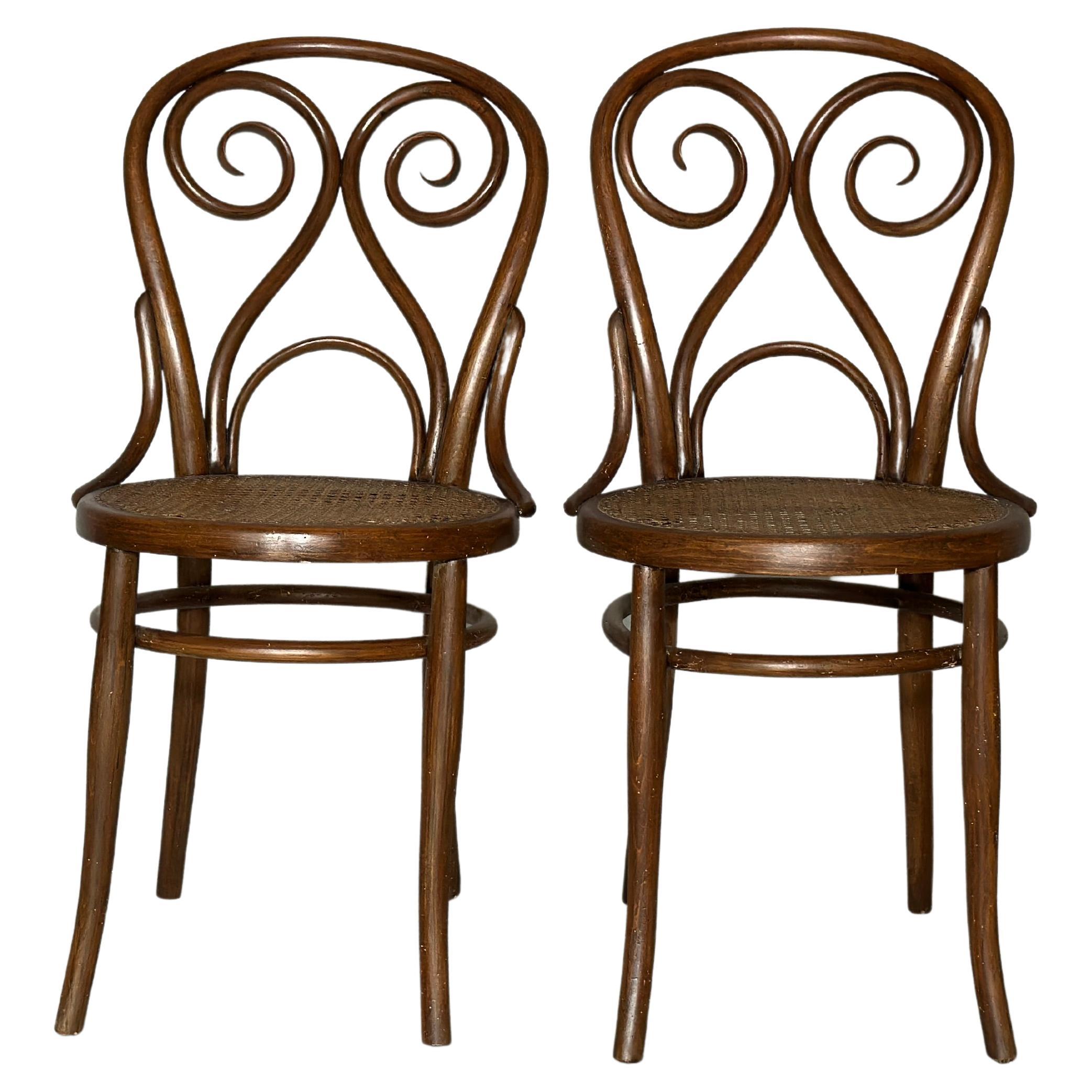 Harnisch and Co chair Wiena 1880s  Set of Two For Sale