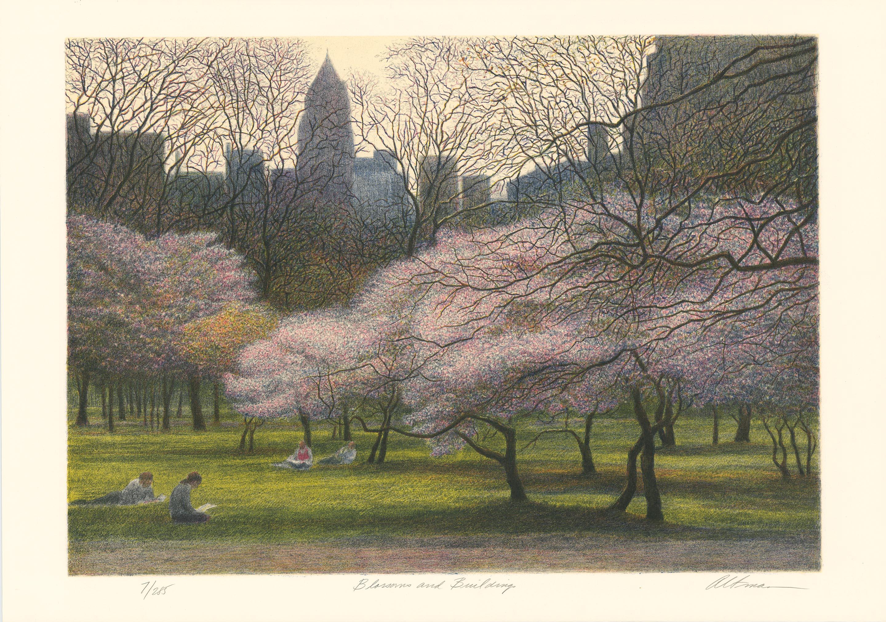 Blossoms and Buildings.  [Central Park.] - Gray Landscape Print by Harold Altman