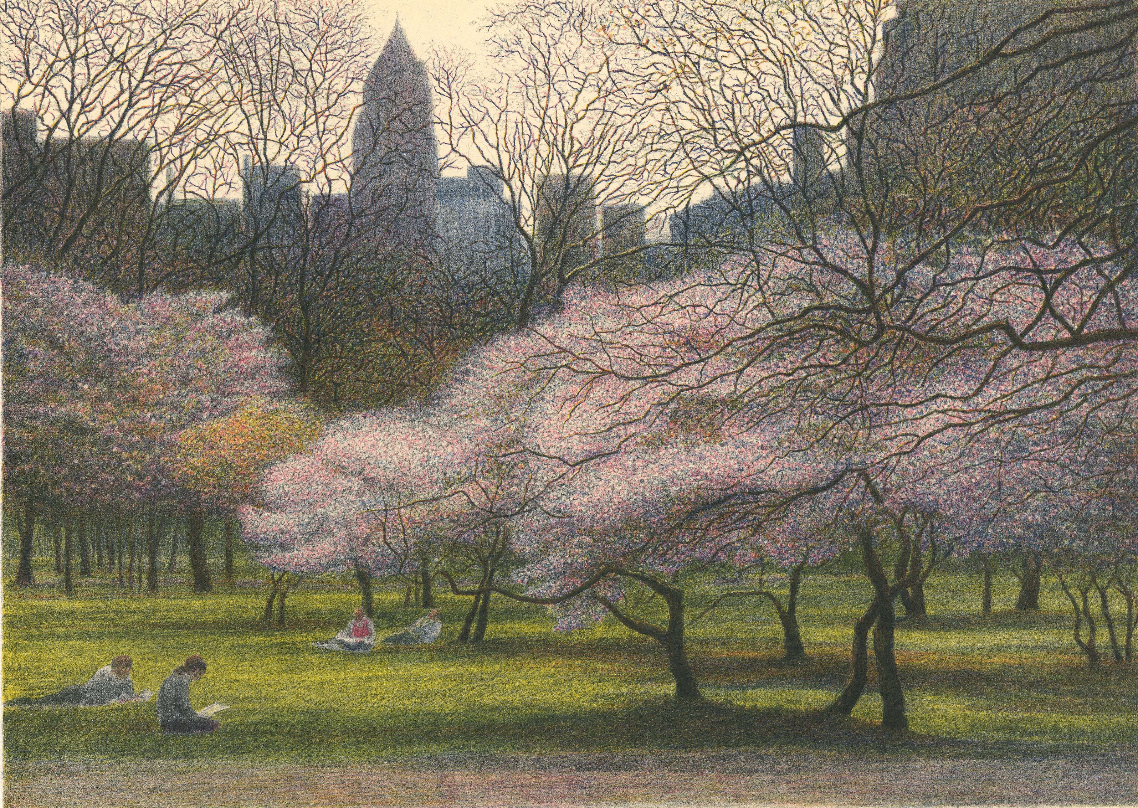 Harold Altman Landscape Print - Blossoms and Buildings.  [Central Park.]