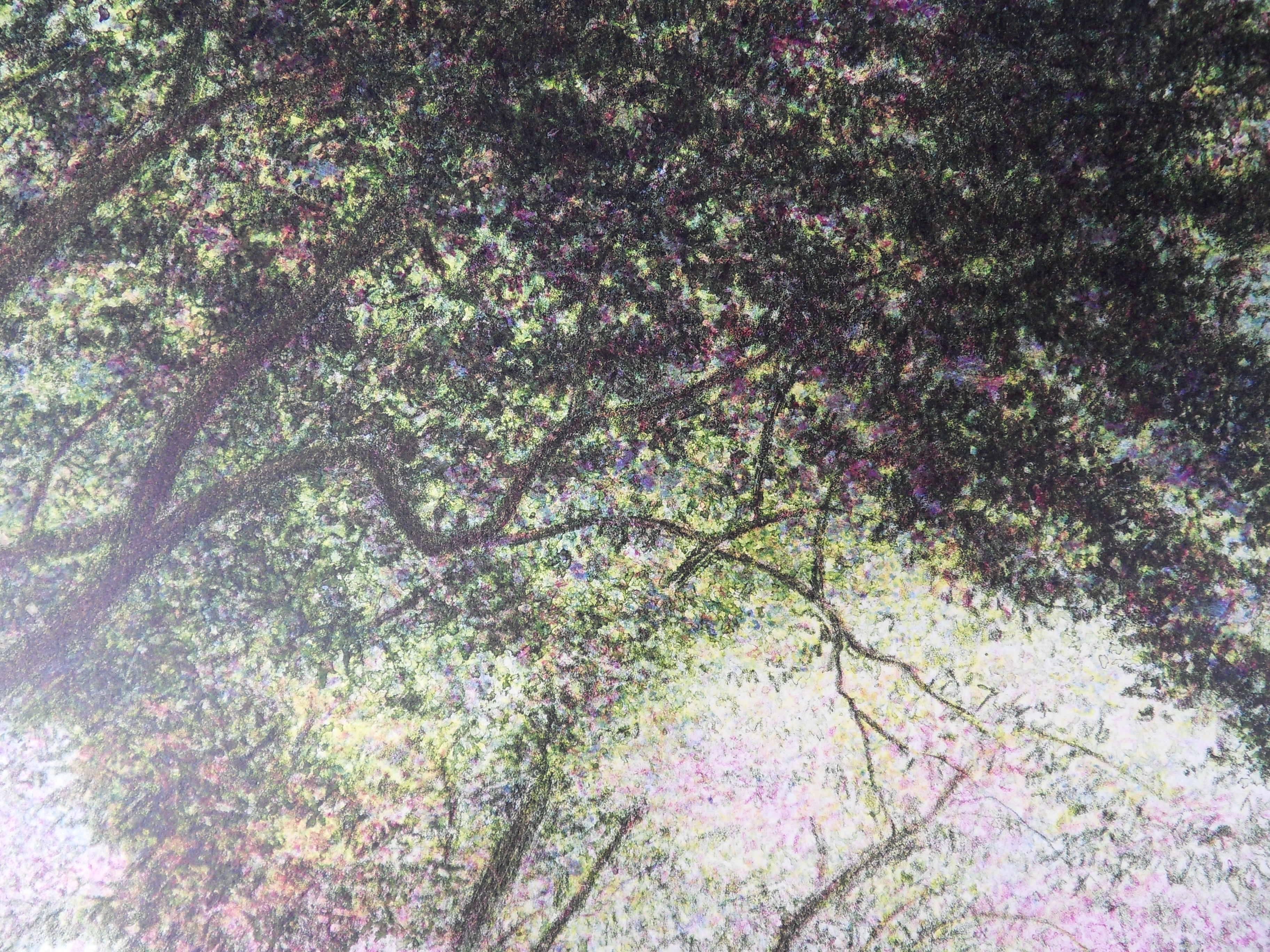 Harold ALTMAN
New York City : Spring at Central Park

Original lithograph
Handsigned in pencil
Justified Artist Proof
On Arches vellum 76 x 56 cm (c. 30 x 22 in)

INFORMATION : Bears the blind stamp of the printer 