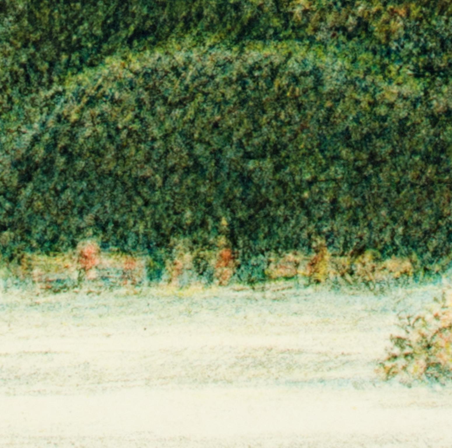  Contemporary color lithograph landscape trees outdoor forest park scene signed - Beige Landscape Print by Harold Altman