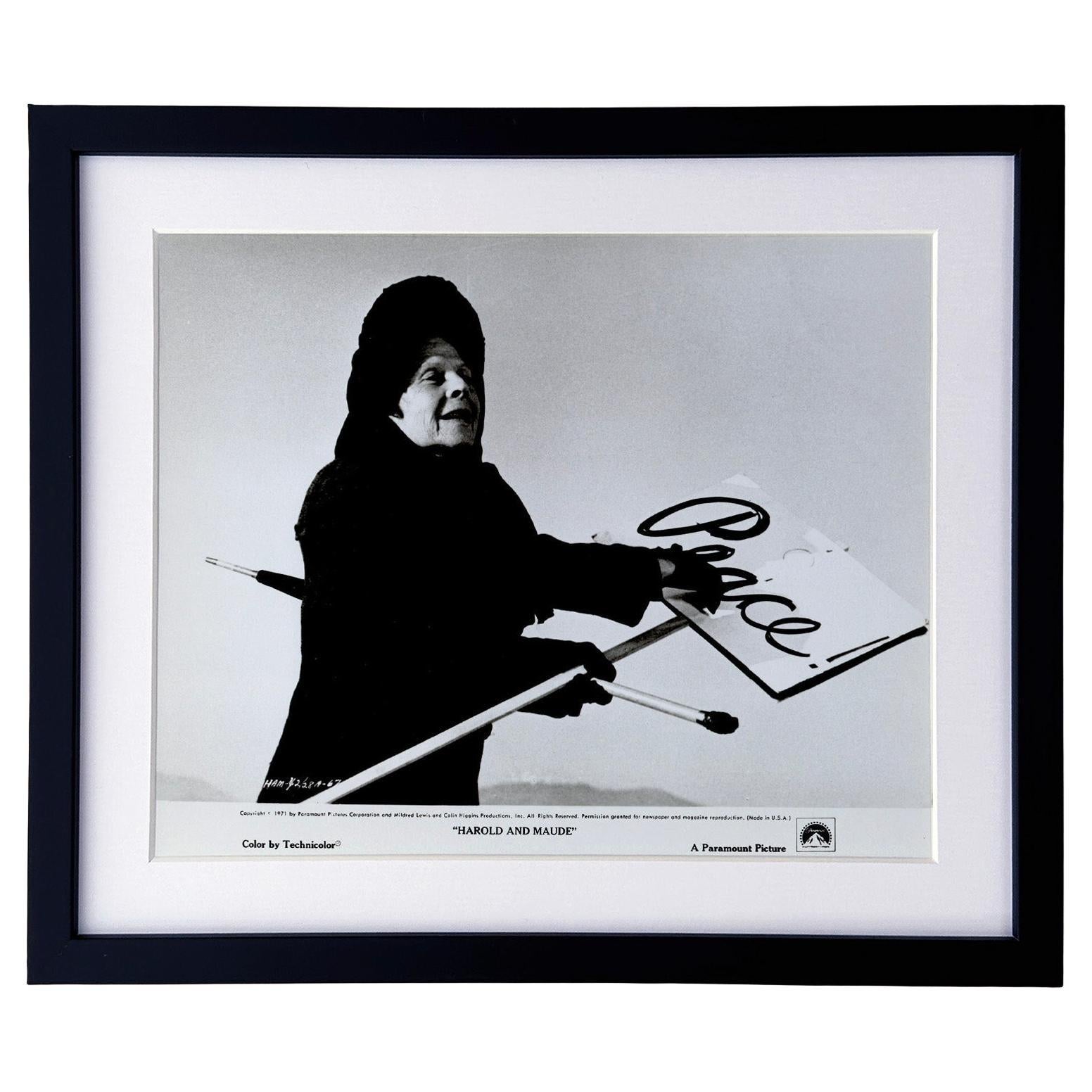 Harold und Maude (1971) Presse-Werbebild - gerahmt