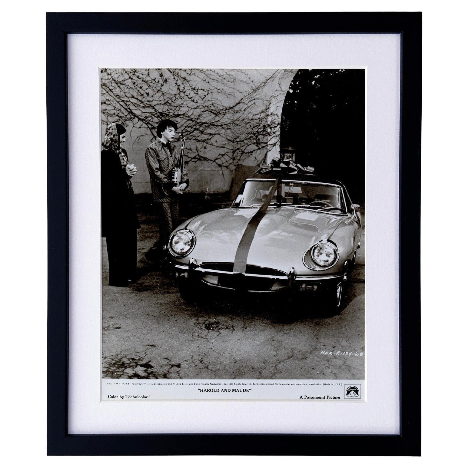 Harold und Maude (1971) Presse-Werbebild - gerahmt
