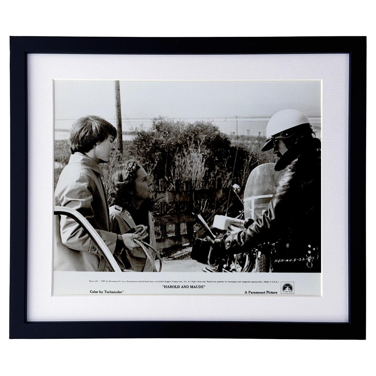 Harold und Maude (1971) Presse-Werbebild - gerahmt