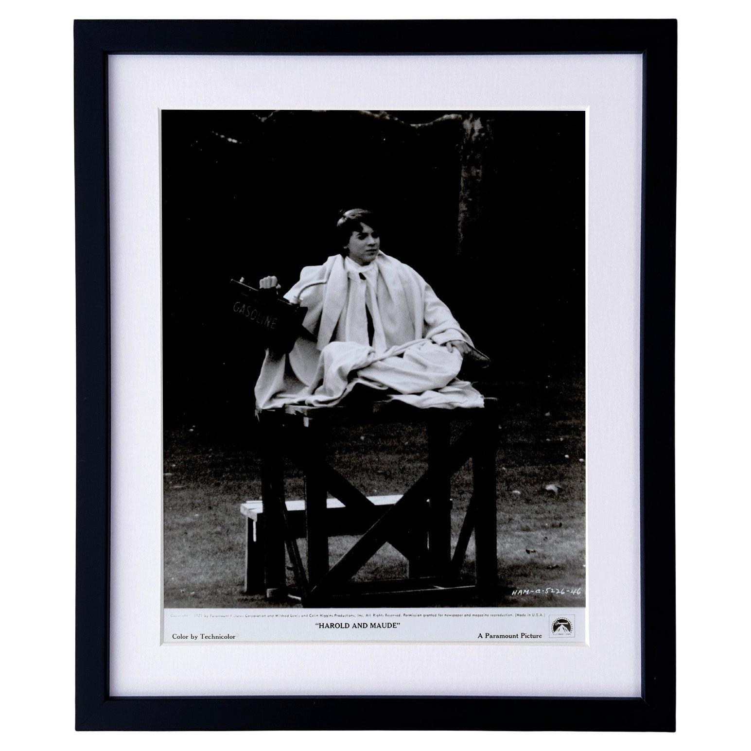 Harold und Maude (1971) Presse-Werbebild - gerahmt