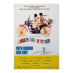Harold and Maude 1972 Argentinian 1 Sheet Film Poster
