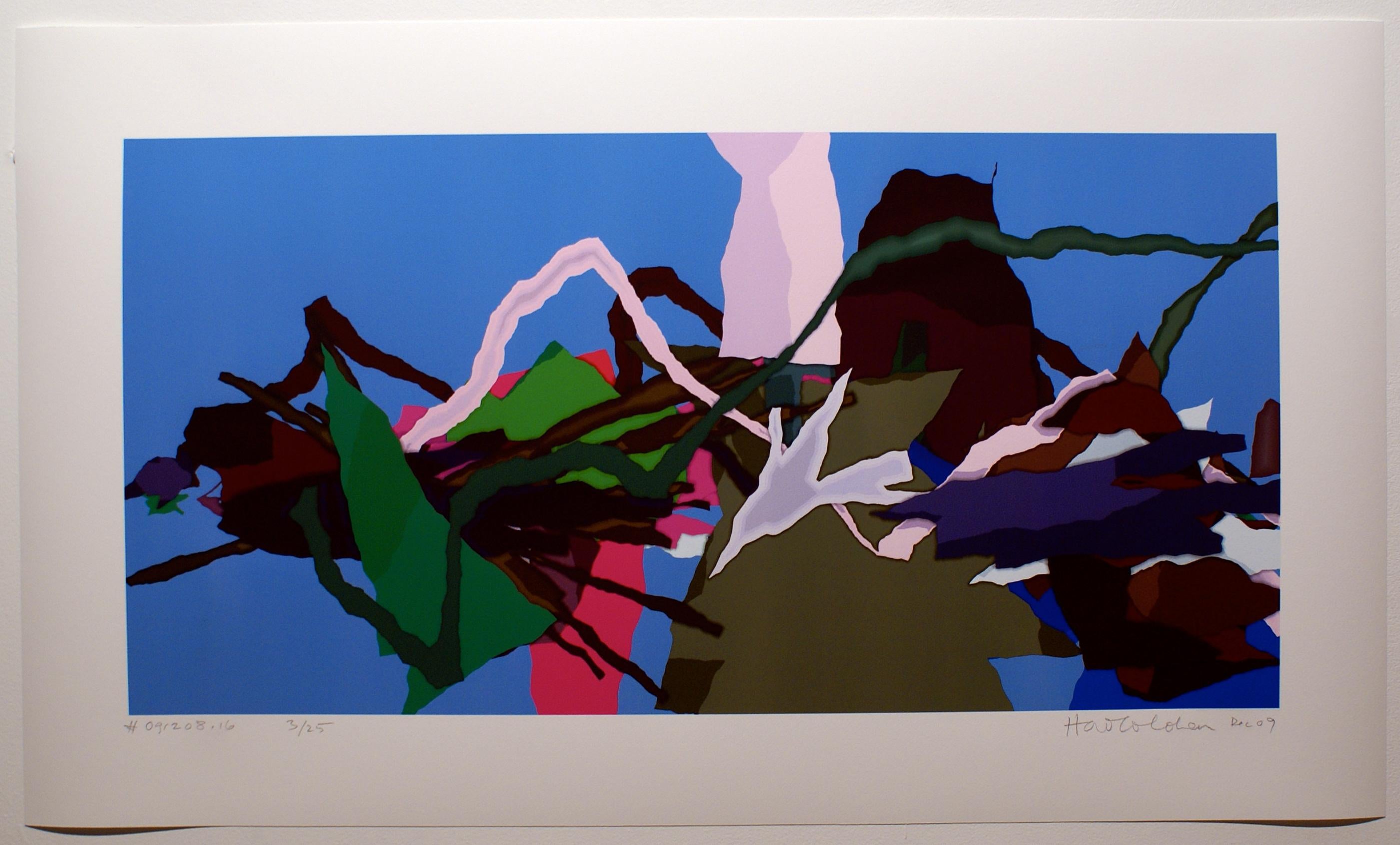 Harold Cohen Abstract Print - # 091208.16