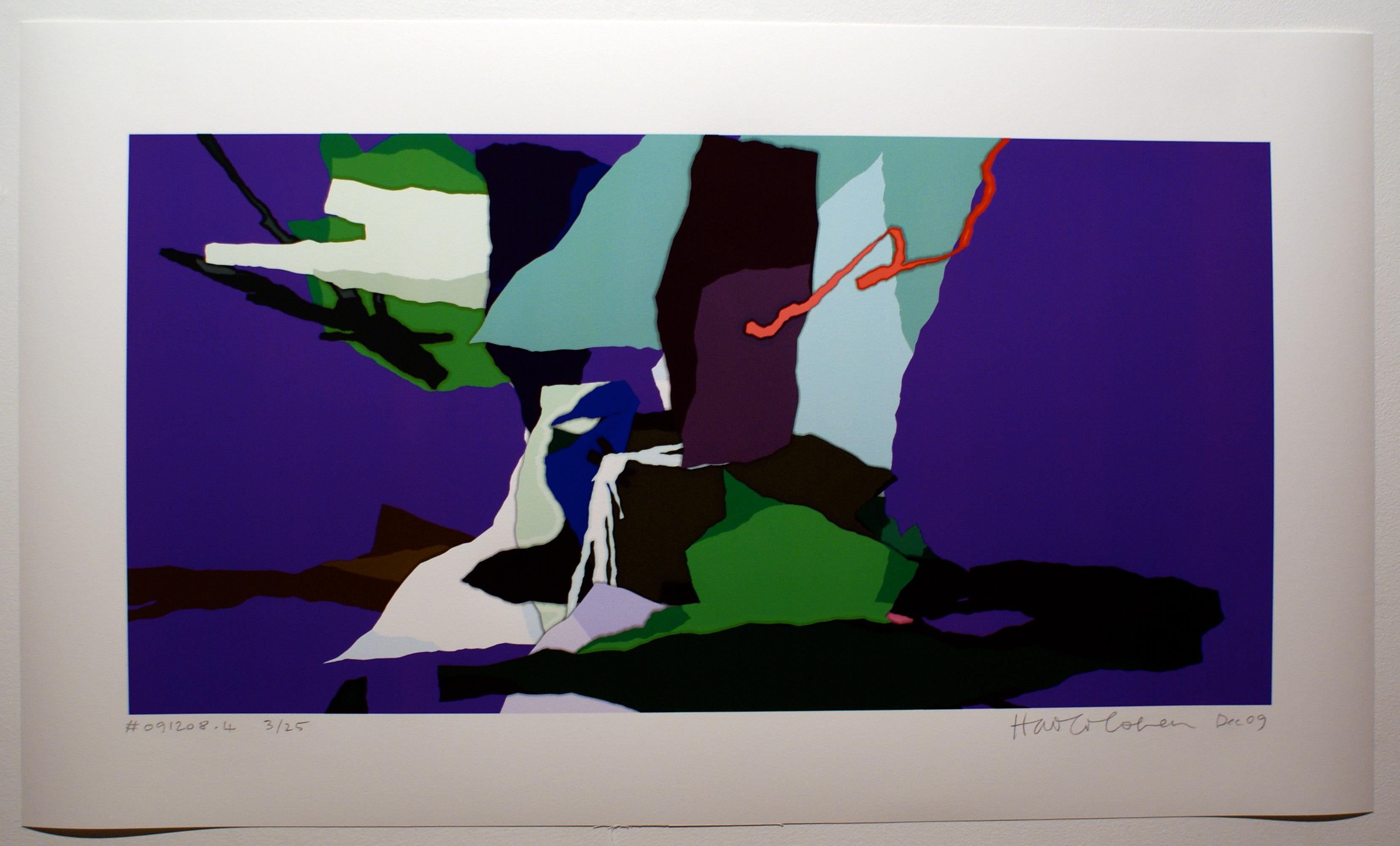 Harold Cohen Abstract Print - # 091208.4