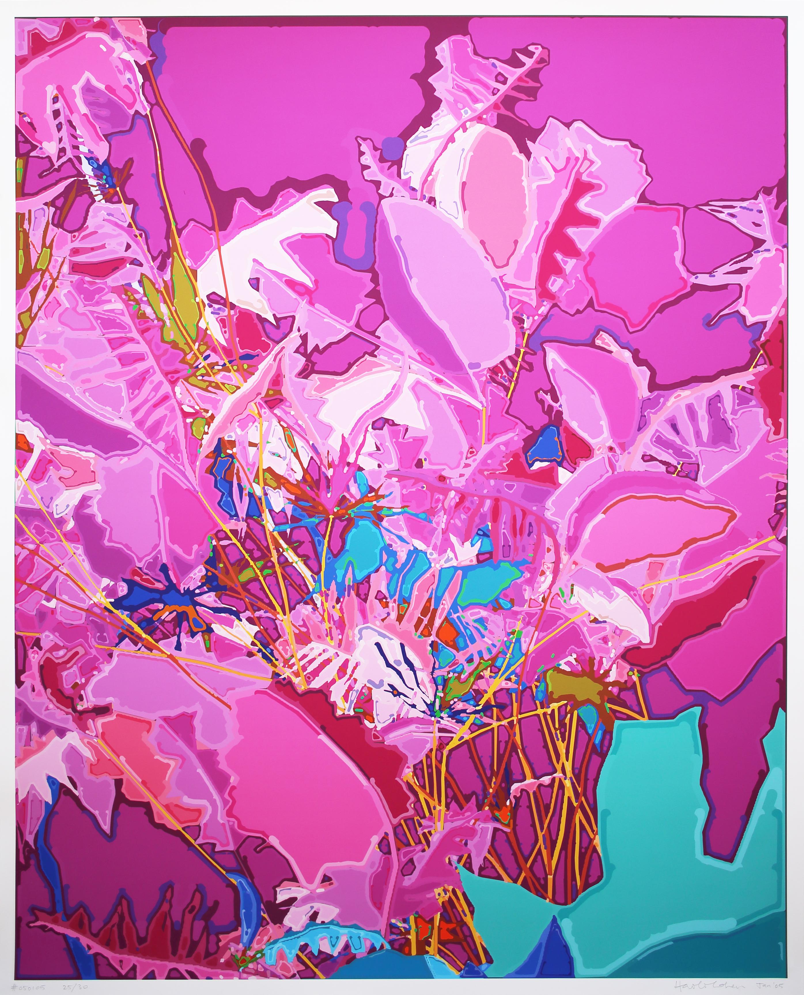 Abstract Print Harold Cohen - Sans titre n°050105 (rose)