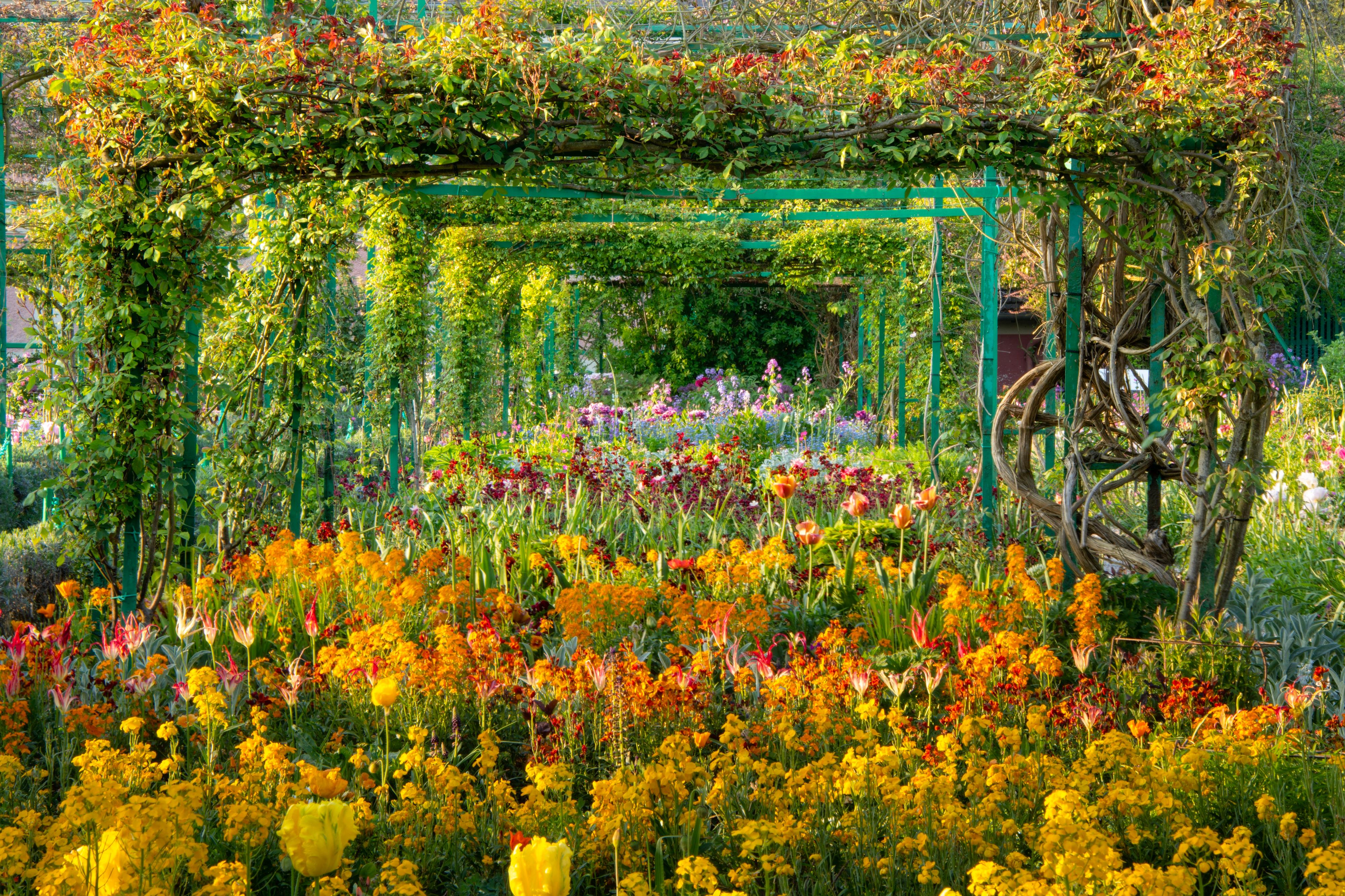 Harold Davis Color Photograph - Flowers at Giverny