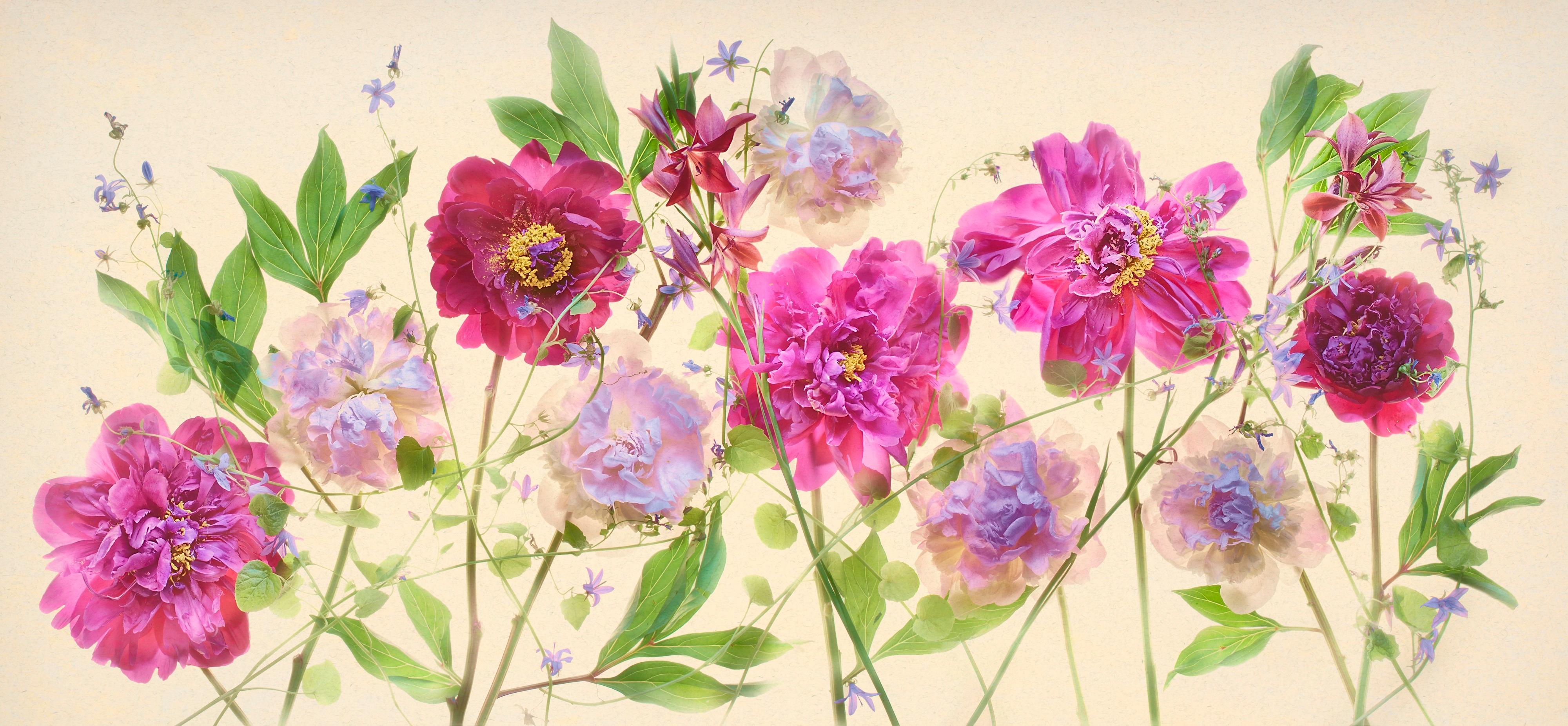 Harold Davis Color Photograph - Peonies, Campanulas, and Variegated Gladiolas