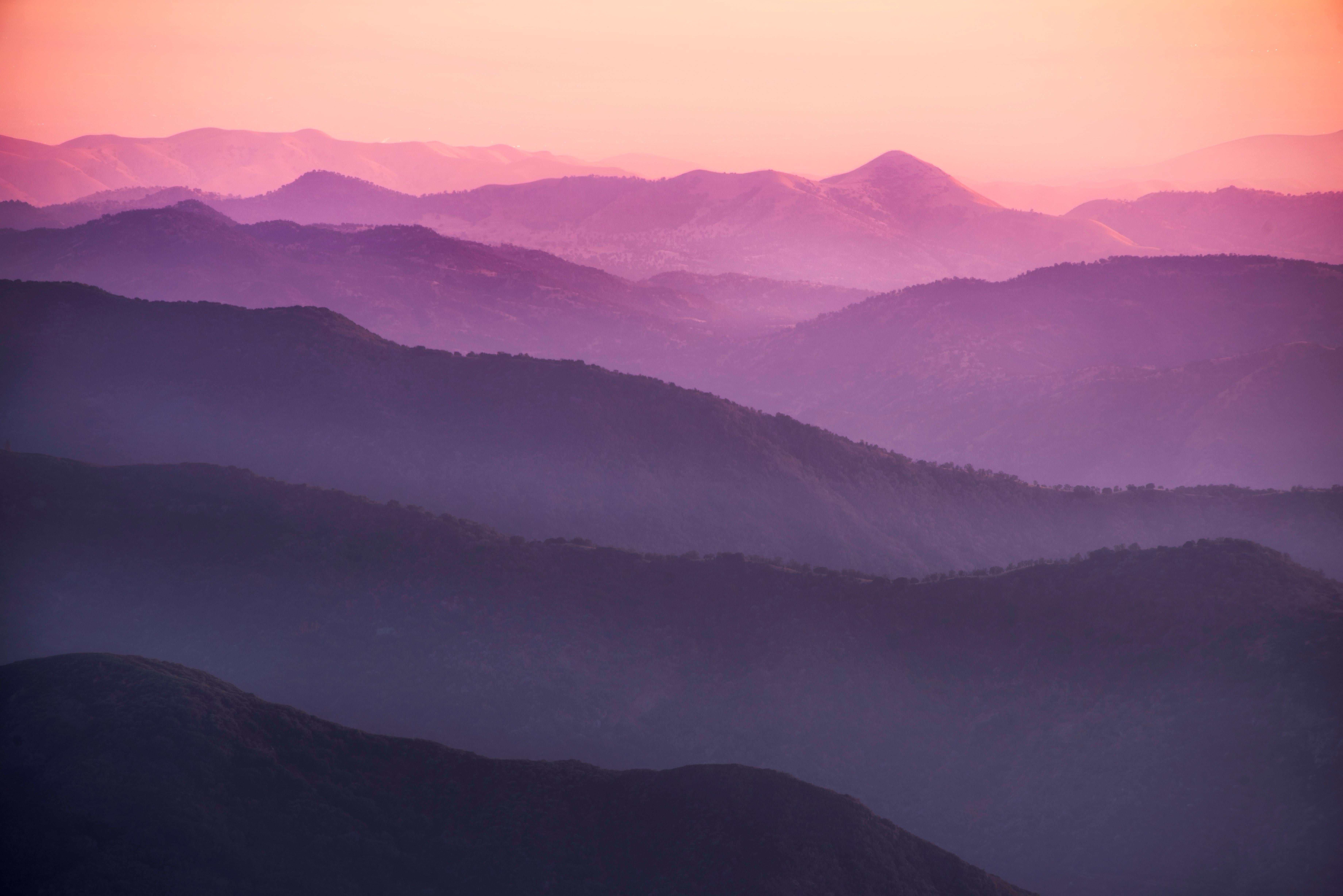 Harold Davis Color Photograph - Purple Haze