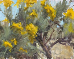 « Sunny Chamisa » (2023) par Harold Deist, paysage impressionniste original