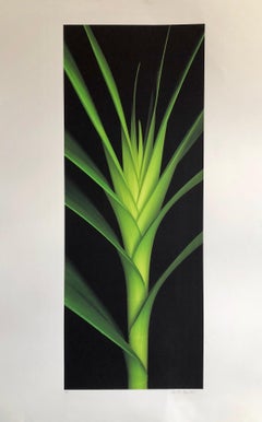Large Botanical Print Abstract Floral Color Photograph Green Leaf Pencil Signed