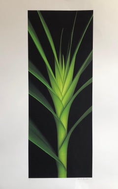 Vintage Large Botanical Print Abstract Floral Color Photograph Green Leaf Pencil Signed