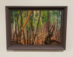 A Charming Vintage 1930s Forest Landscape, Algonquin Park, Ontario, Canada