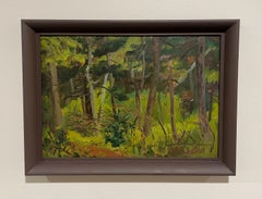 A Charming Vintage 1930s Forest Landscape, Algonquin Park, Ontario, Canada