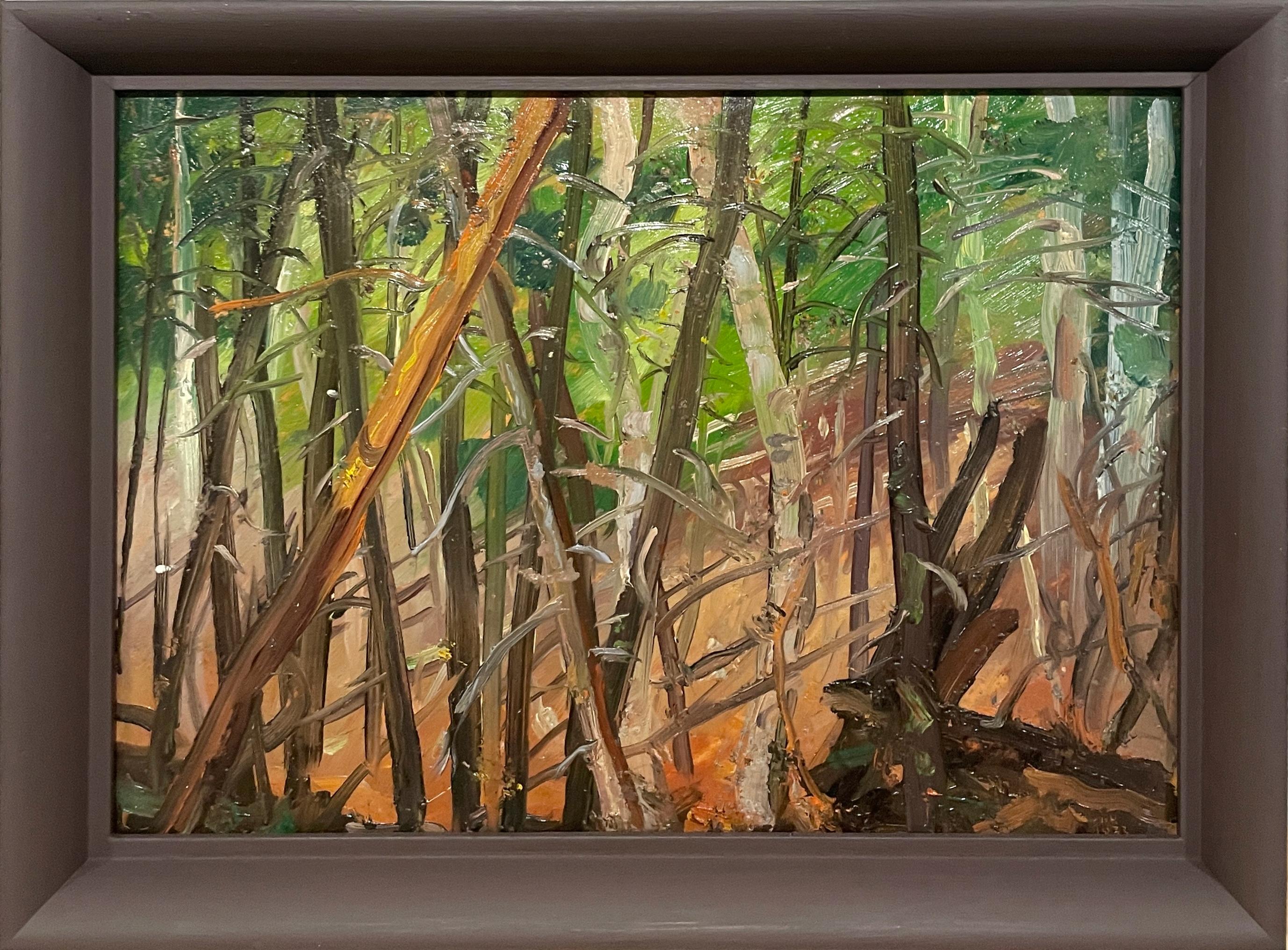 Eine bezaubernde Waldlandschaft im Vintage-Stil der 1930er Jahre, Algonquin Park, Ontario, Kanada